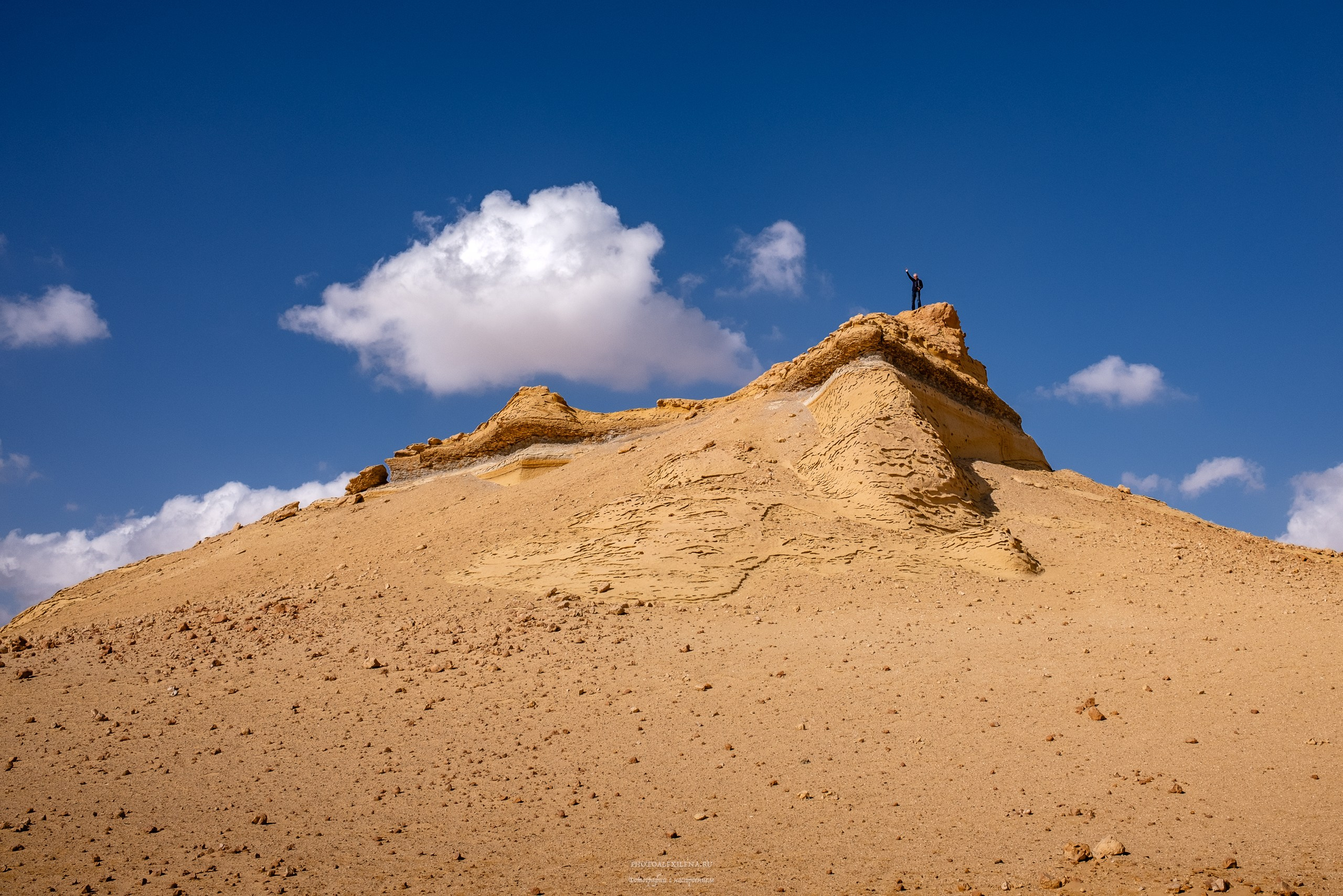 Снова в пустыню, за скелетами…. Авторские стильные фотокартины