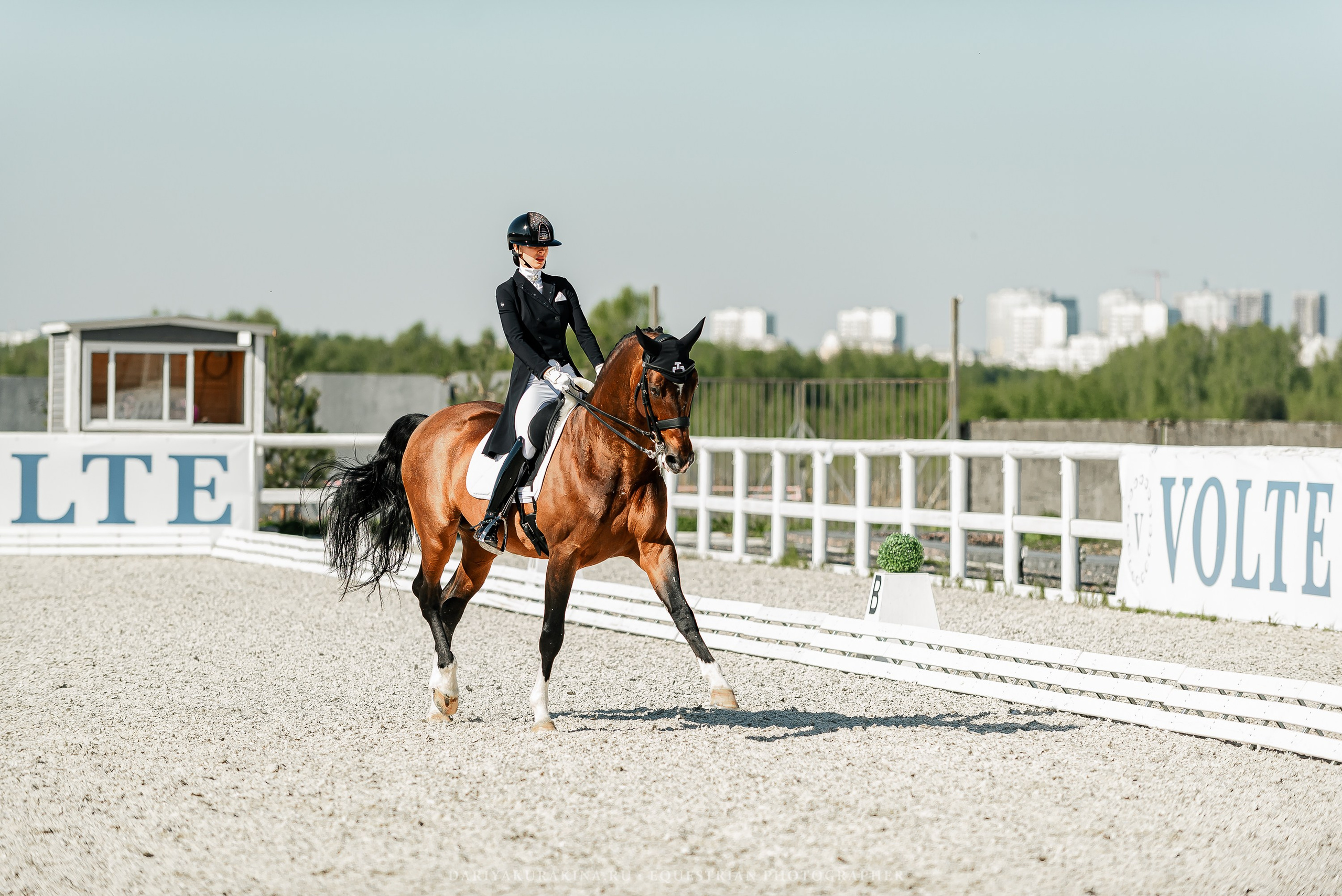 РЕПОРТАЖ МКК ВОЛЬТ «LA TULIPS». Конный фотограф Куракина Дарья • Фотосессии с лошадьми