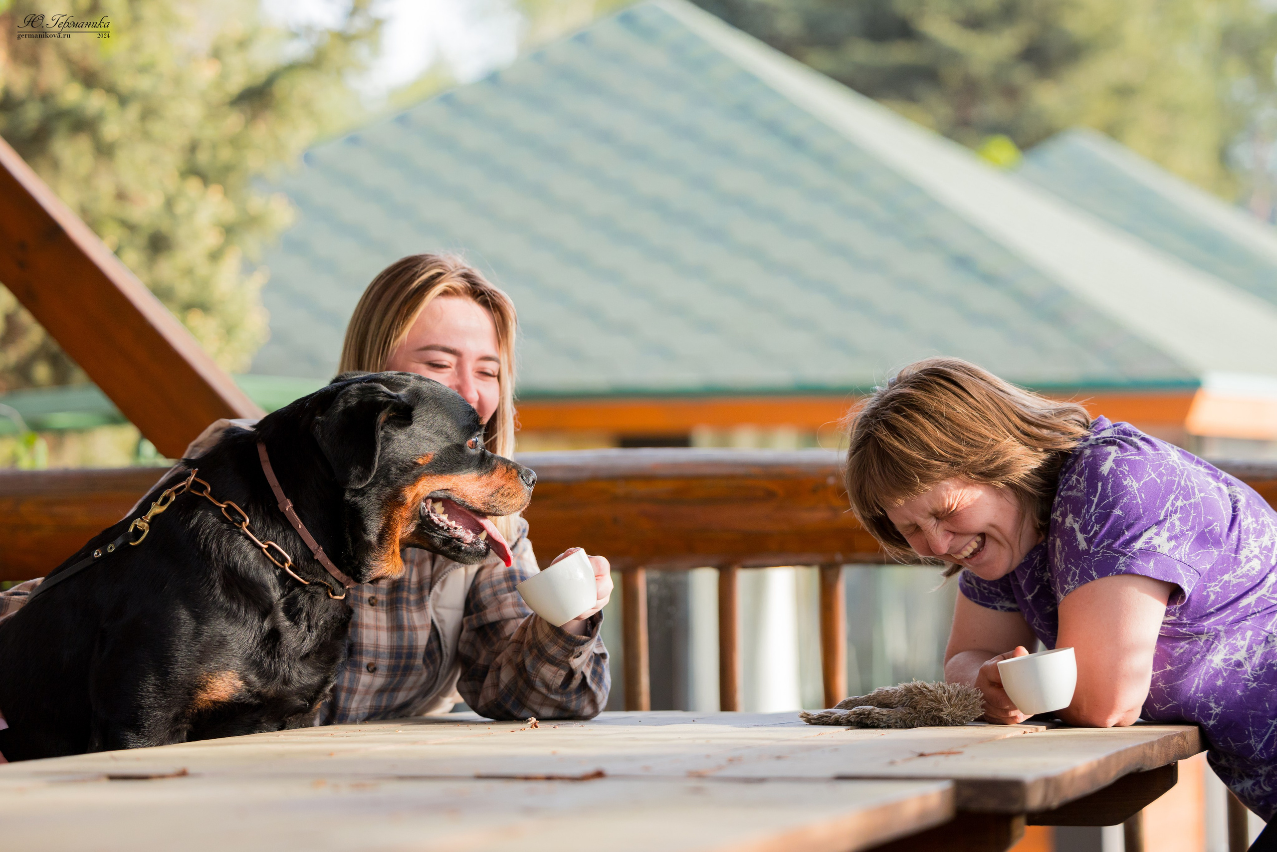 Саратов 2 х моно ротвейлеров 28-29.04.2024. Фотограф-анималист Юлия Германика