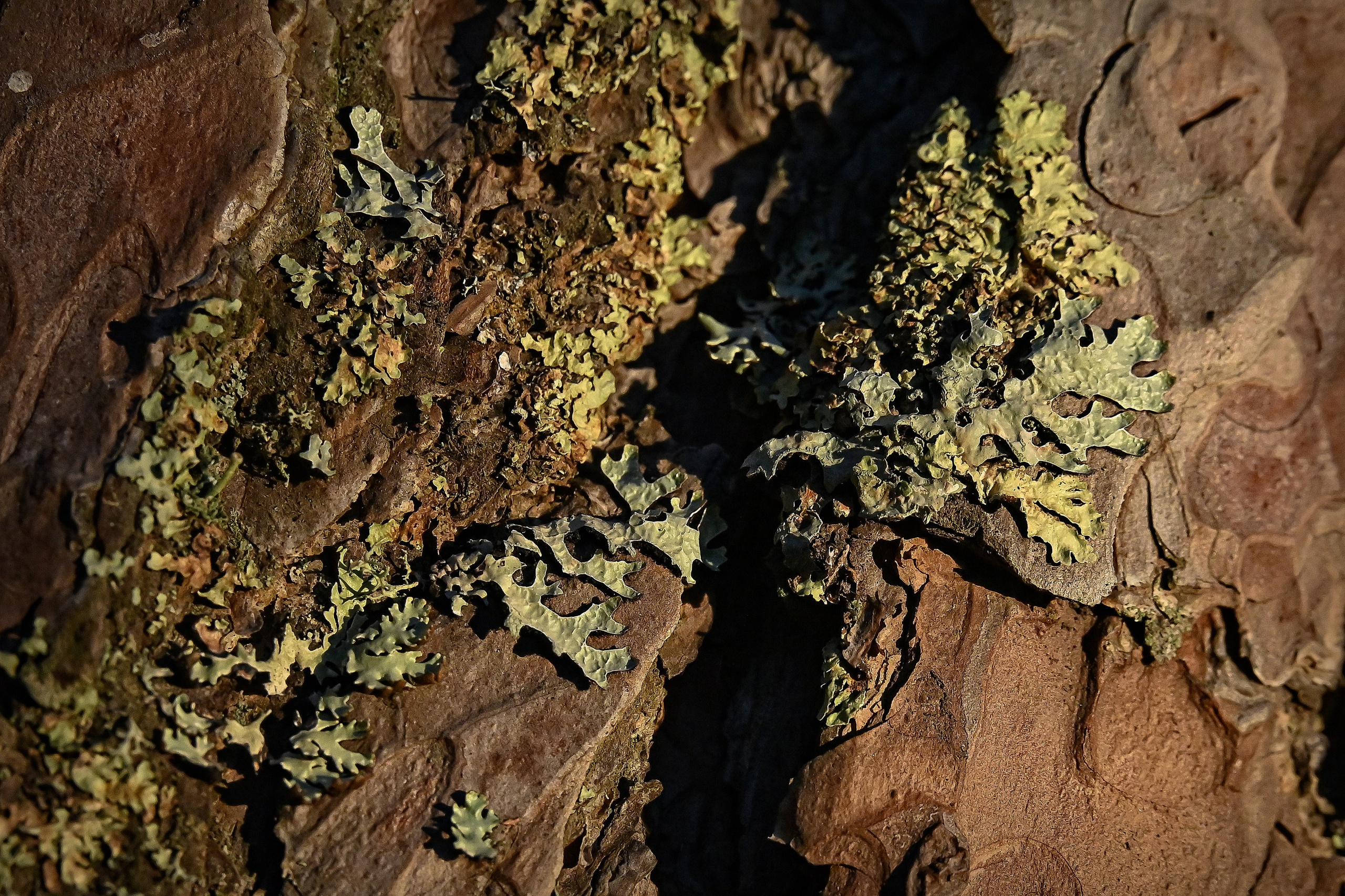 Осень. FotoGraf