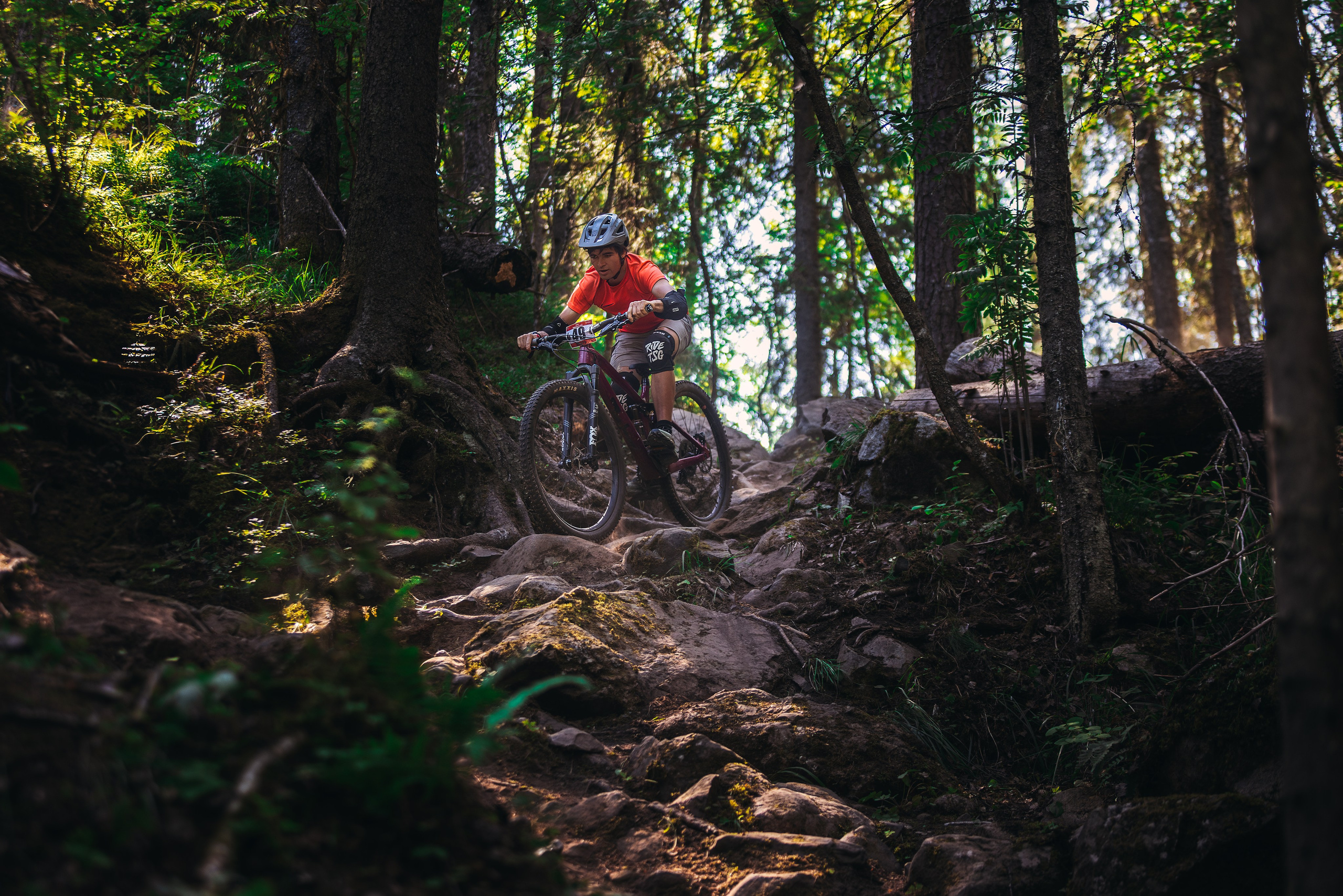 Гонка Ялгора. Фотограф анималист Никита Натальный