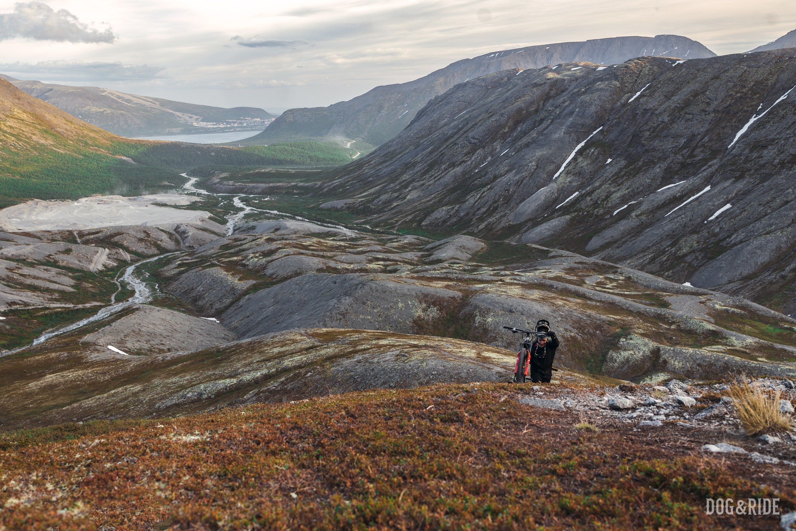 Хибины. Фотограф анималист Никита Натальный