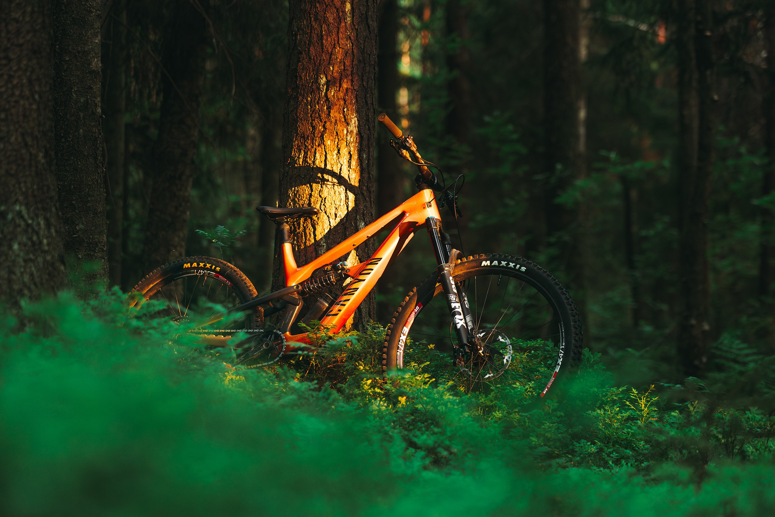 Покатушки в Огороде. Фотограф анималист Никита Натальный