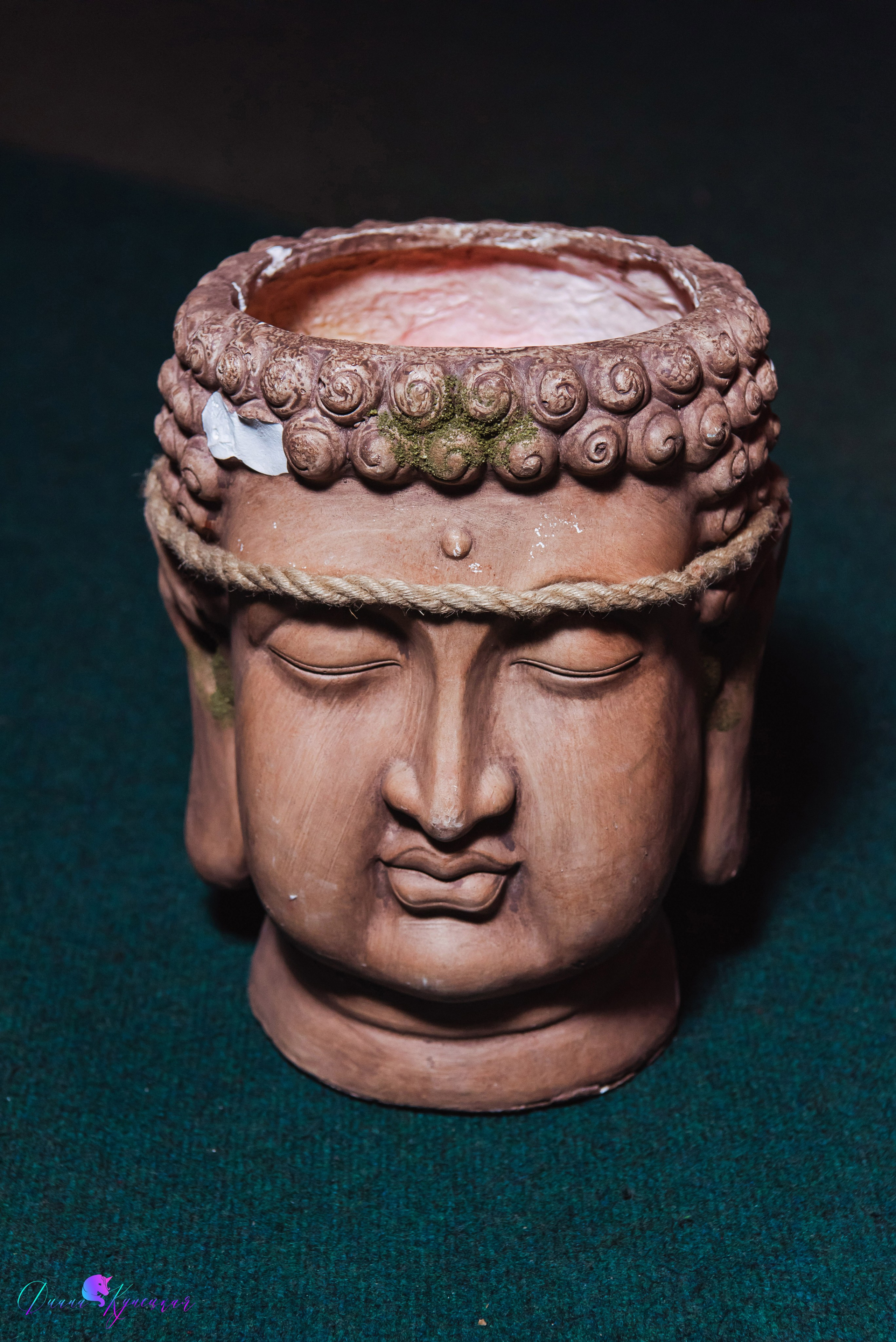 День Рождения Арсения. «Джуманджи Красногорск». Свадебный и арт-фотограф Кунецкая Диана