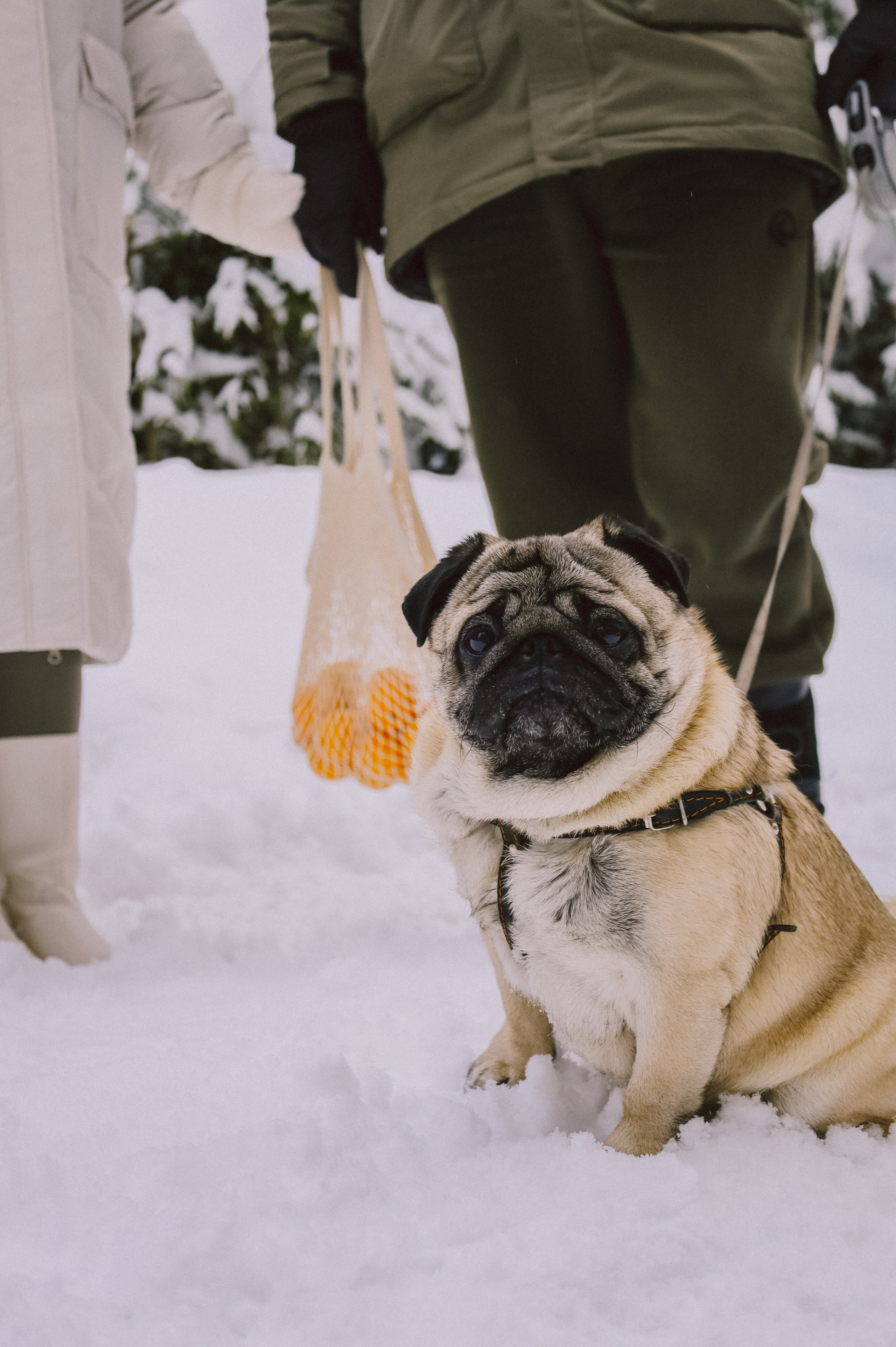 Анастасия & Никита. Никонорова Анастасия
