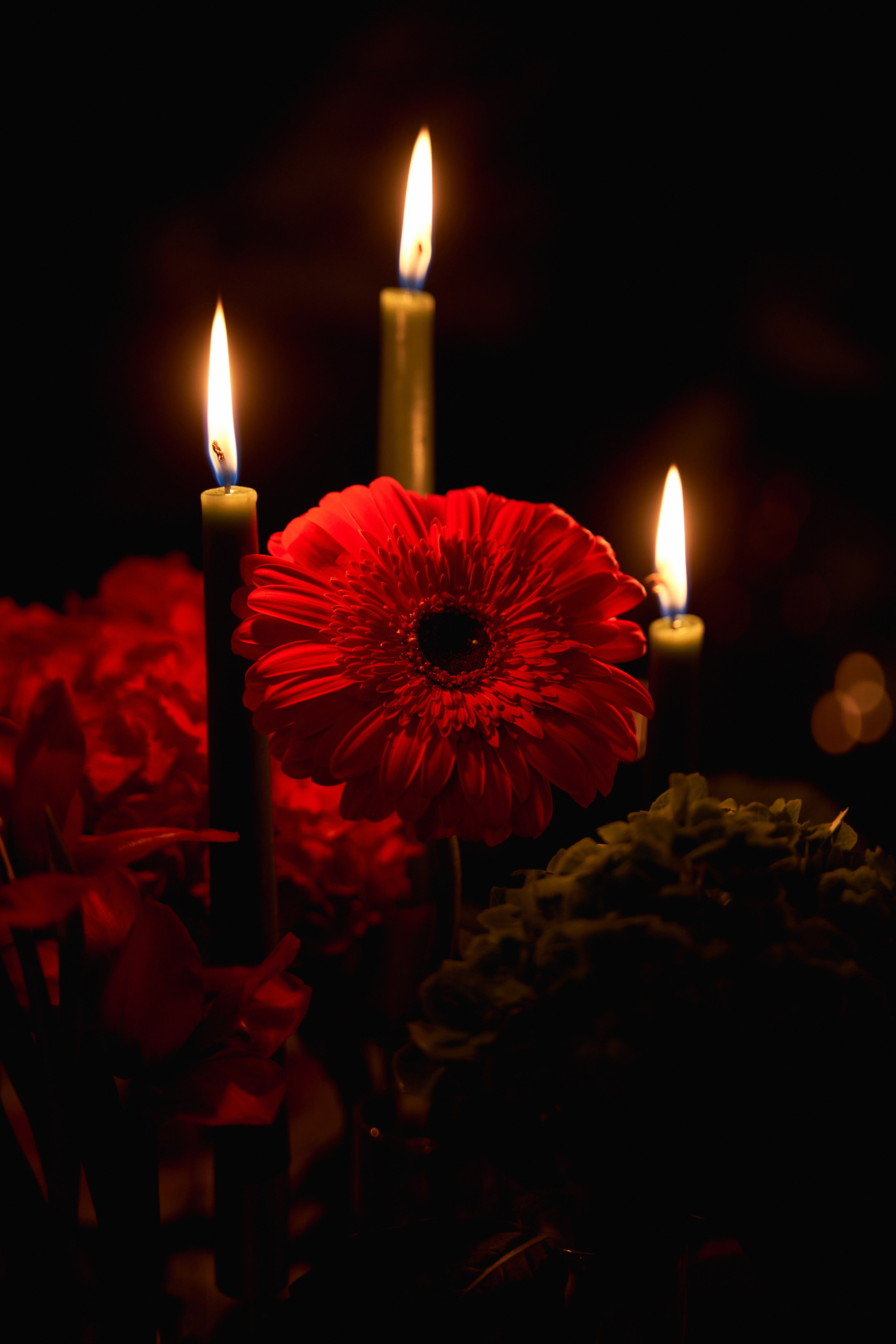 Светская съемка дня рождения 18 лет Камилле от ТВИНС СТУДИО. ТВИНС СТУДИО — лучшие свадебные фотографы и видеографы в Краснодаре