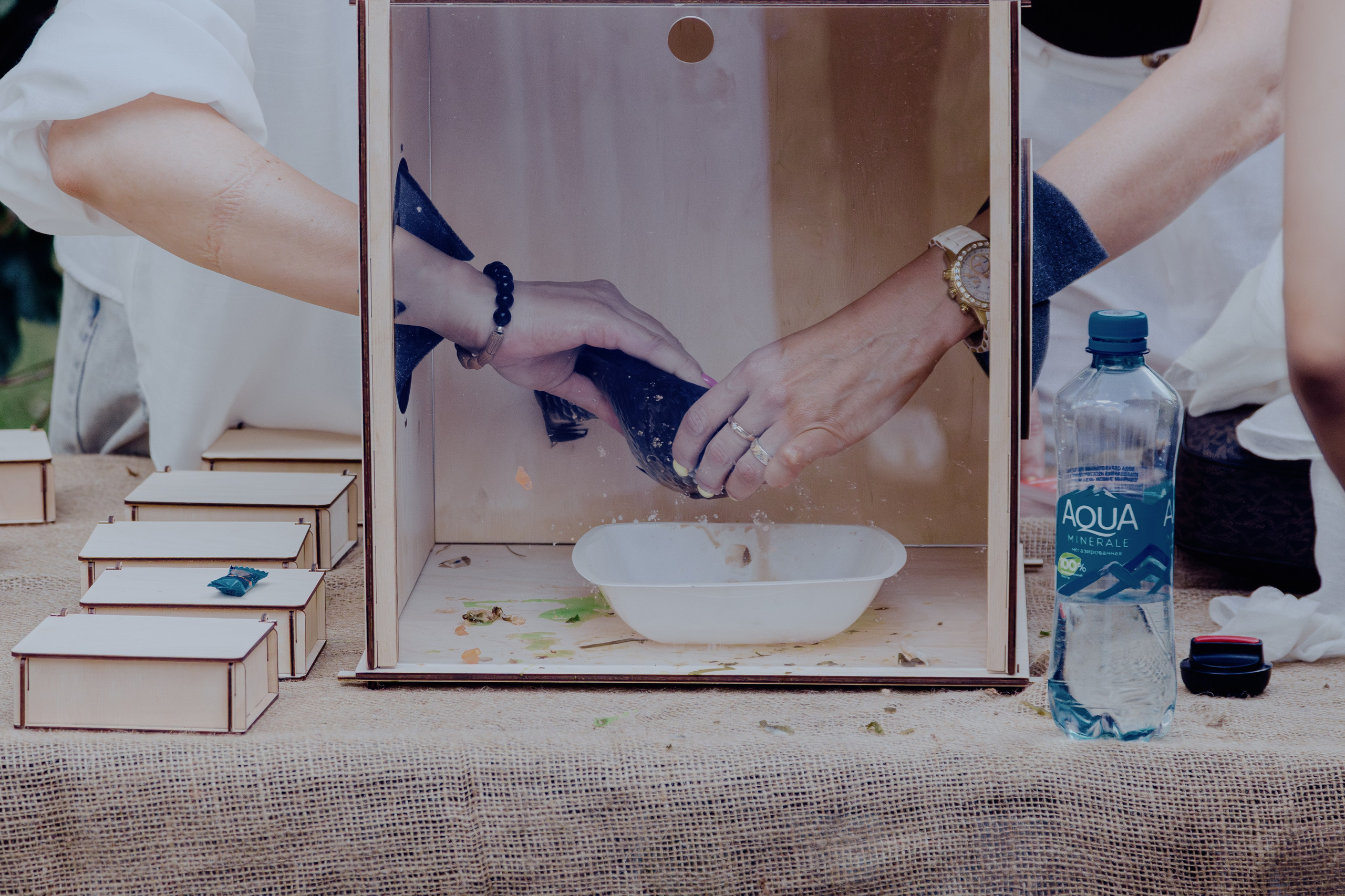 Репортажная съёмка корпоратива компании Феникс. Портретный фотограф в Ростове-на-Дону Антон Казарин