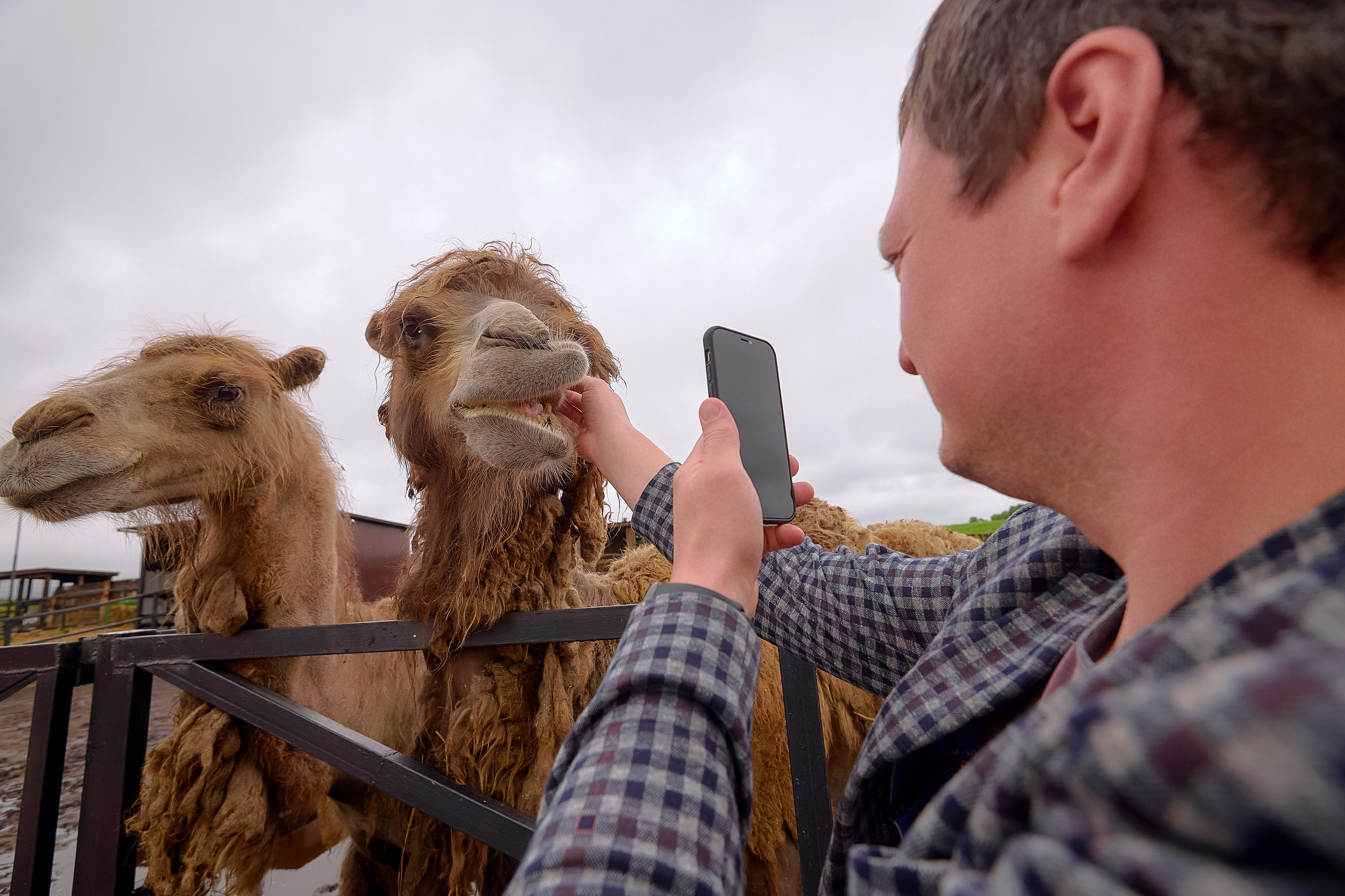 Ранчо «Шарье». Сеть магазинов «Калина-Малина». Фотограф Яковлев Роман — Красноярск