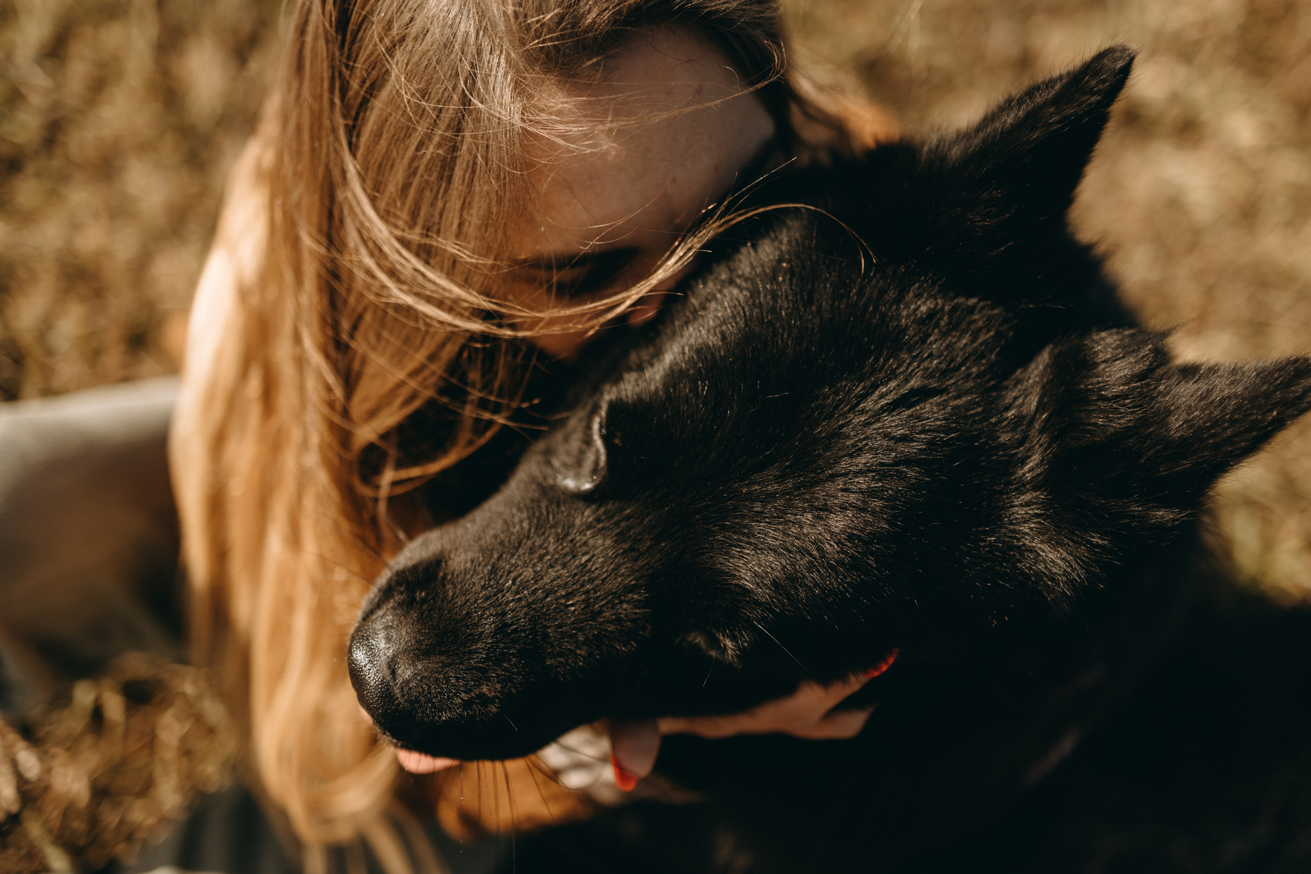 Лора и Джанго. Фотограф — Анималист | Санкт-Петербург