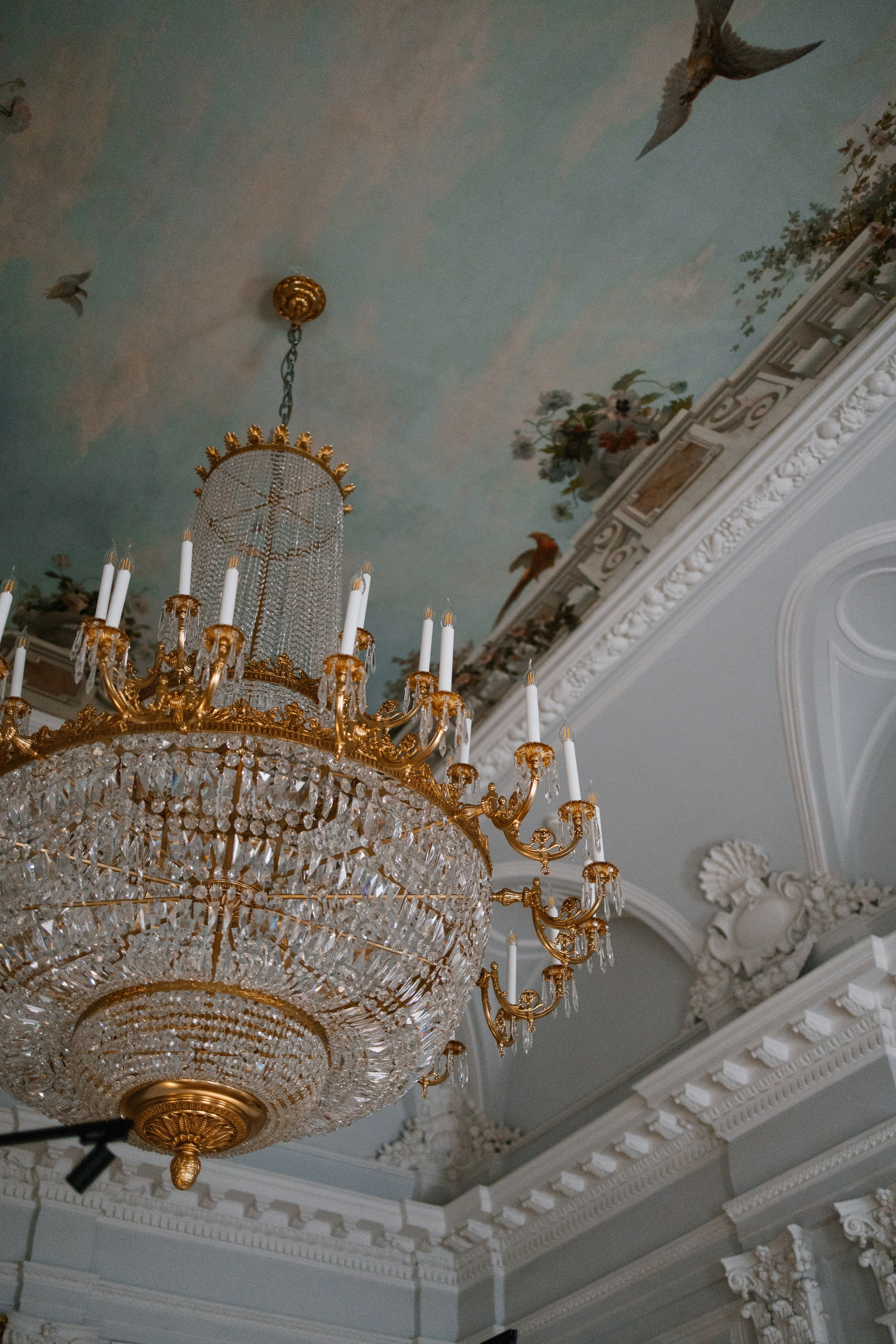 Анастасия и Дмитрий. ФОТОГРАФ АЛИНА ФОКА