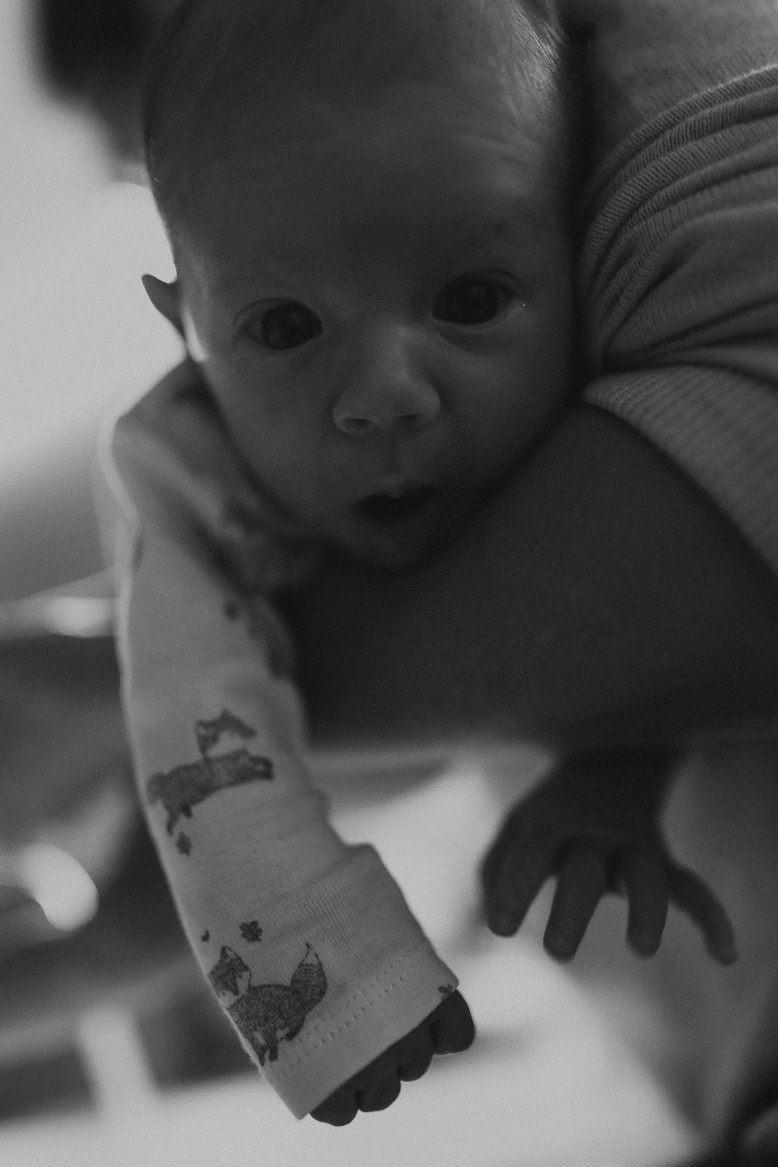 Новорожденные. Главная