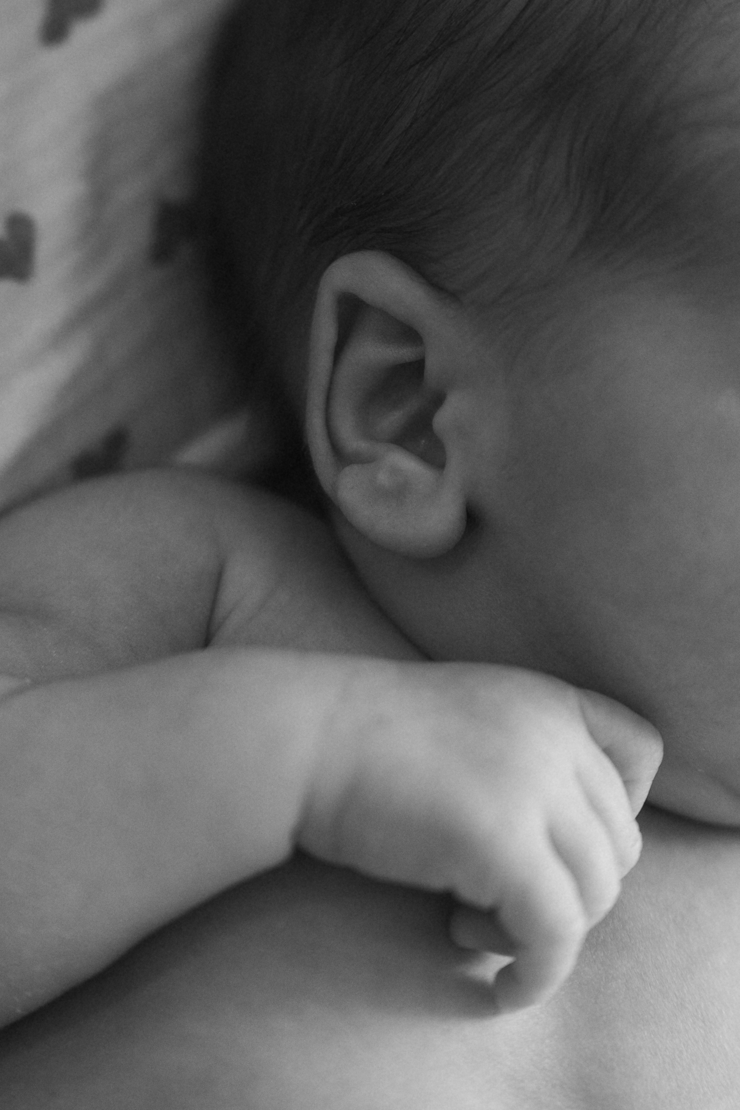 Денис / Алена и Ян. Фотограф в Санкт-Петербурге — Лучина Екатерина