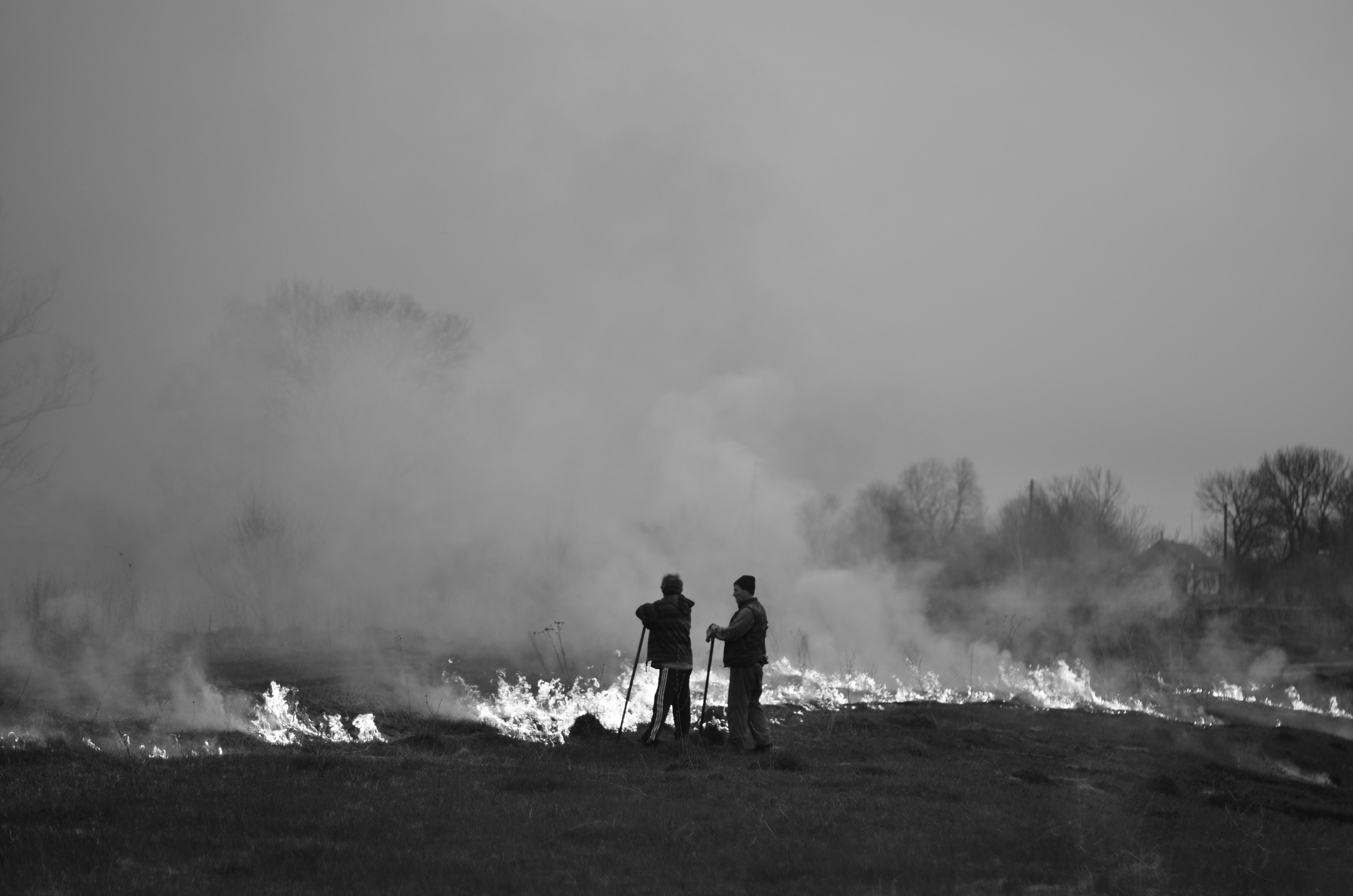 Пожары. Анна Хвалина