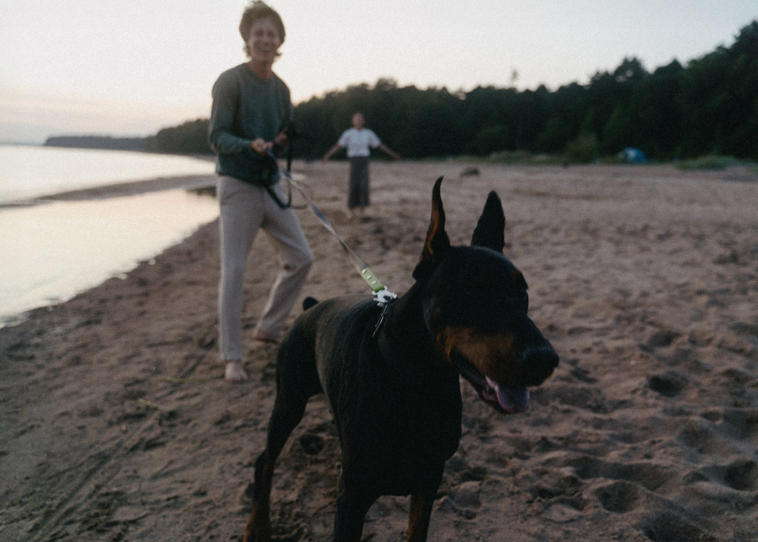 Нестер и Кристина. Свадебный и семейный фотограф в Санкт-Петербурге Дмитрий Панин