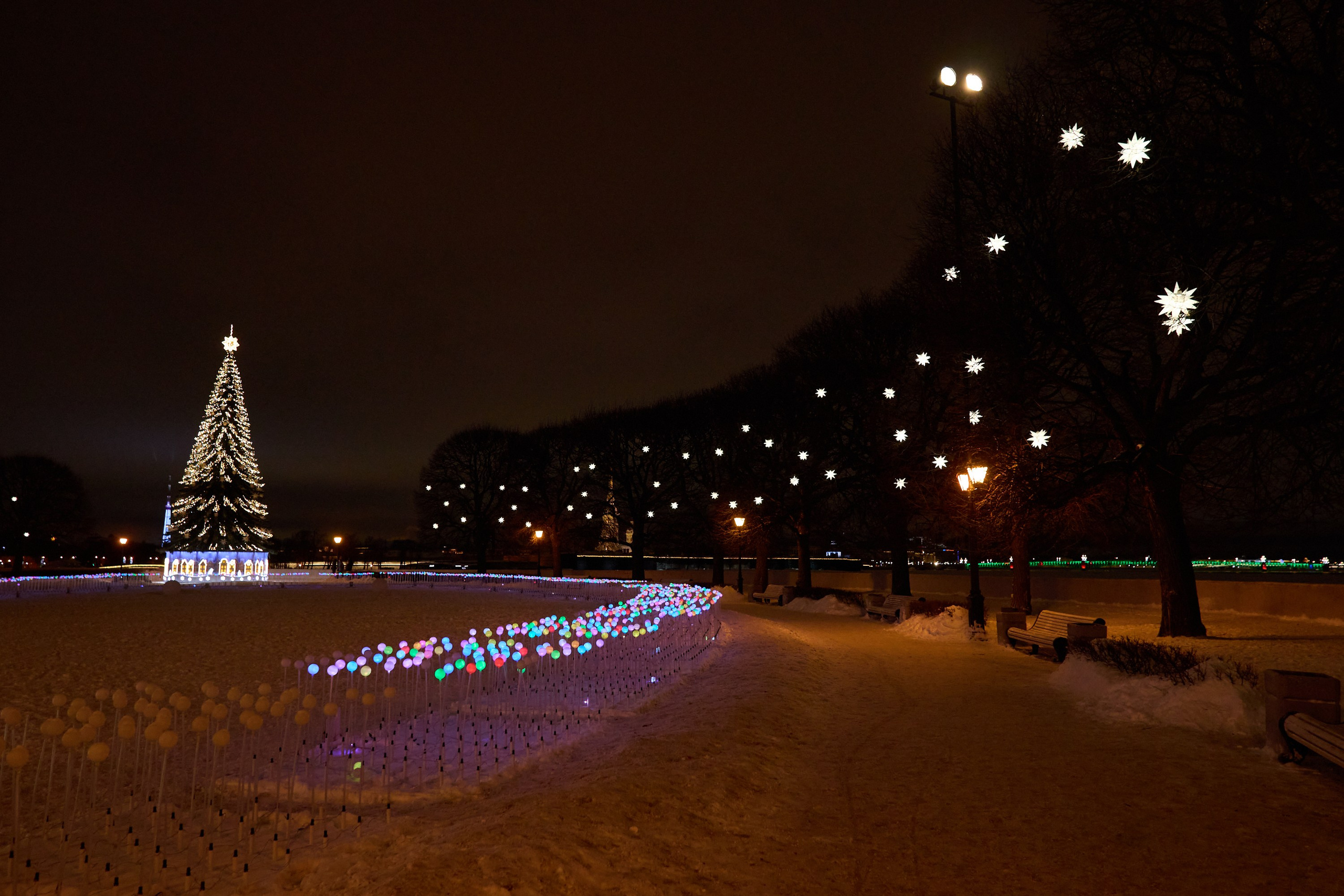 Рождество въ Санктъ-Петербургѣ. Фотографъ Сергѣевъ. Поймать мгновеніе