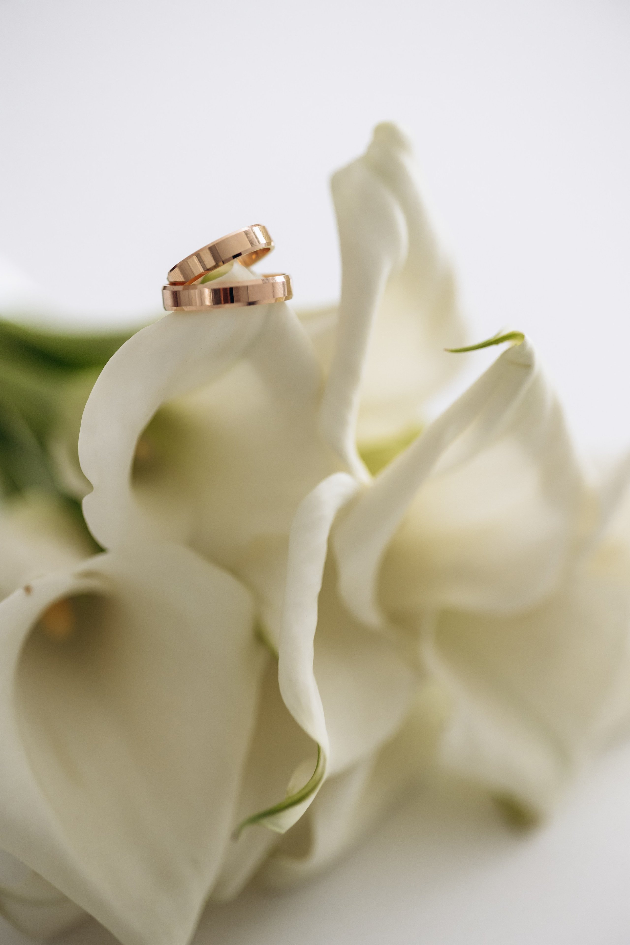 Александр и Ольга 15 августа 2023. Фотограф в Калининграде свадебная фотография, репортажная, фотосессии