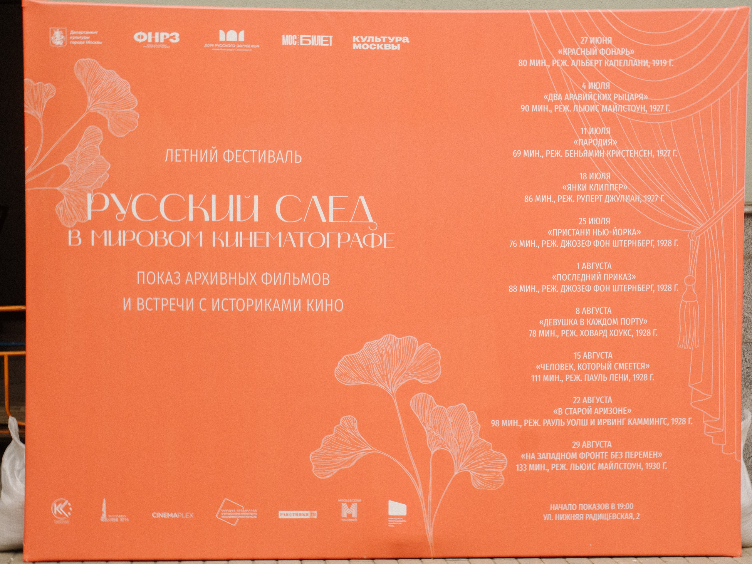 Летний кинопоказ. Фотограф и создатель ИИ-контента — Алёна Орлова, Москва