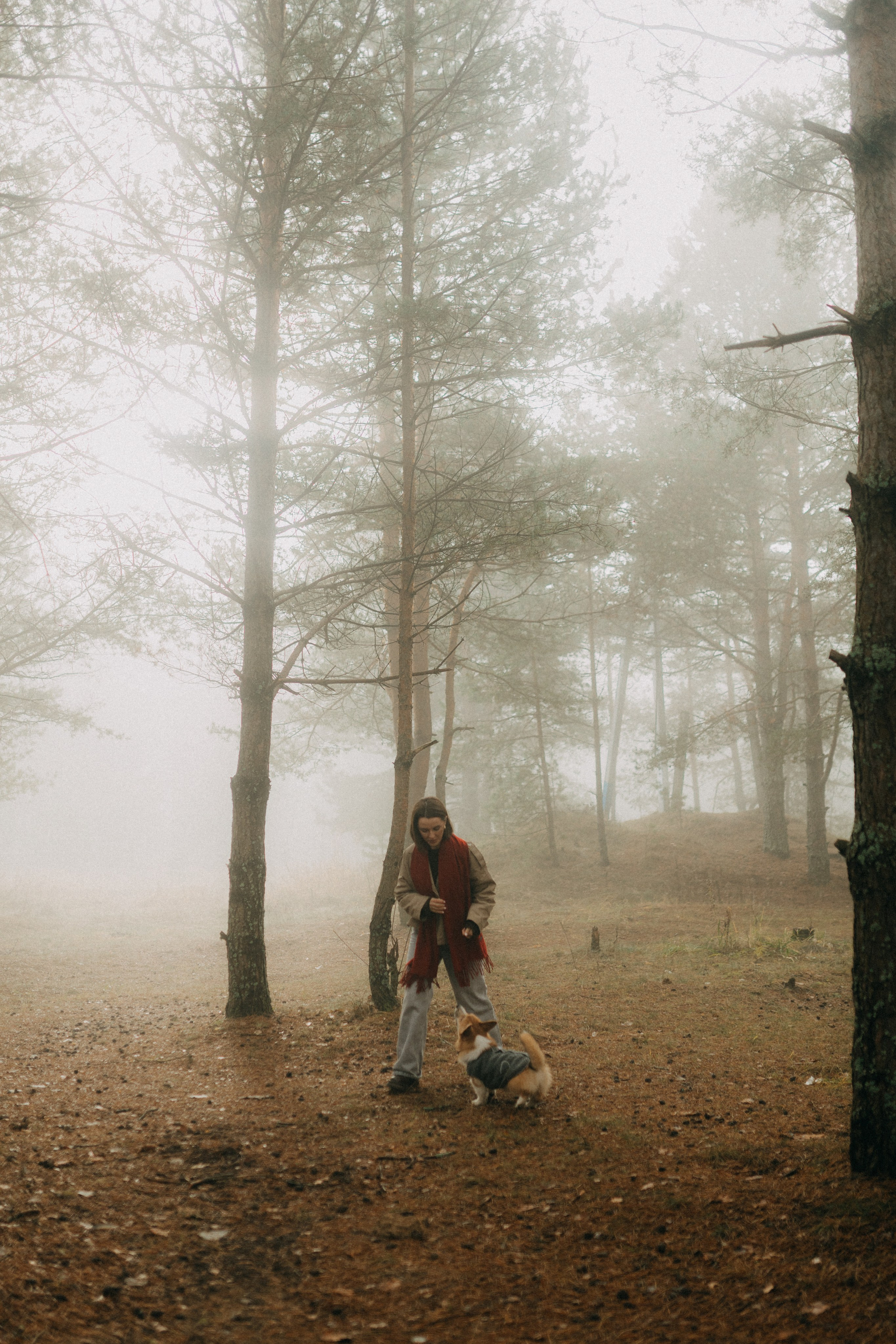 Алина. Фотограф НОГИНСК, Москва, Анастасия Белая