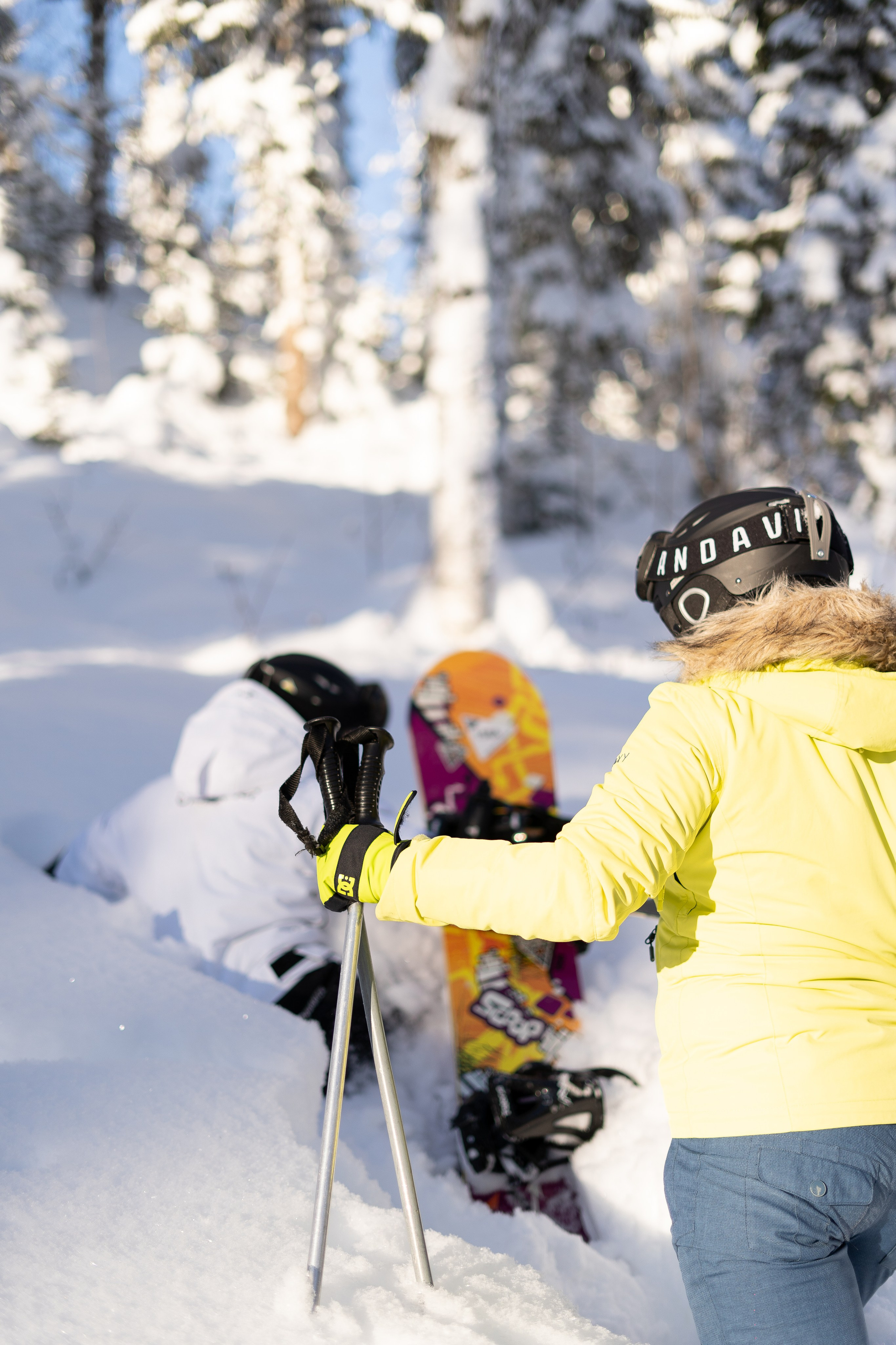 Прогулка Сектор Е. Анастасия Паршукова — фотограф Шерегеш Новосибирск