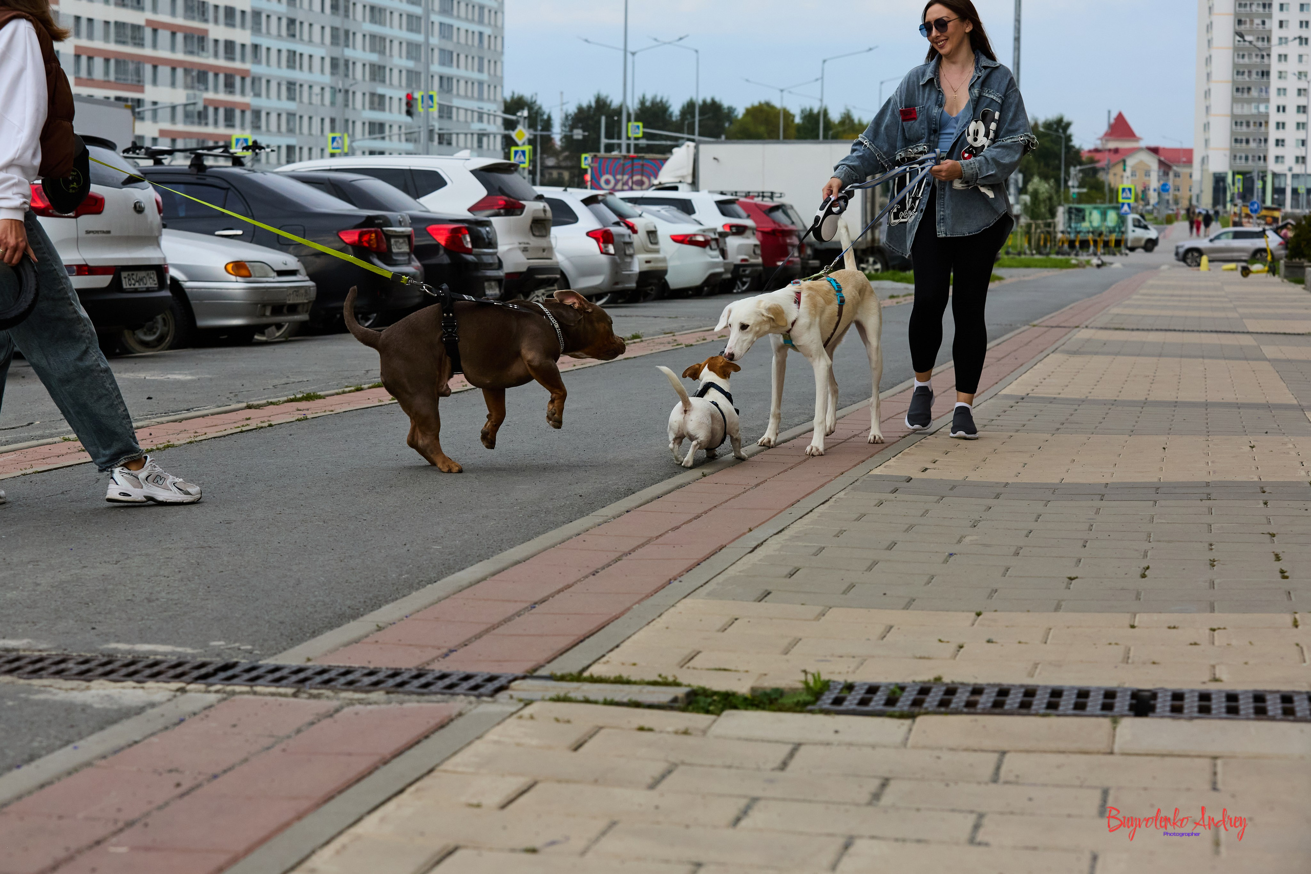 Проект фотопрогулка с хвостиком. Buyvolenko Andrey