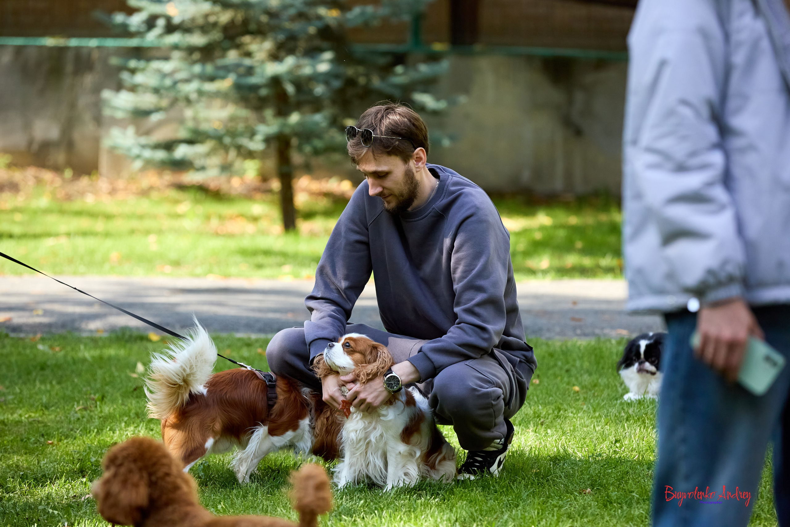 Фотопрогулка с кавалерами. Buyvolenko Andrey