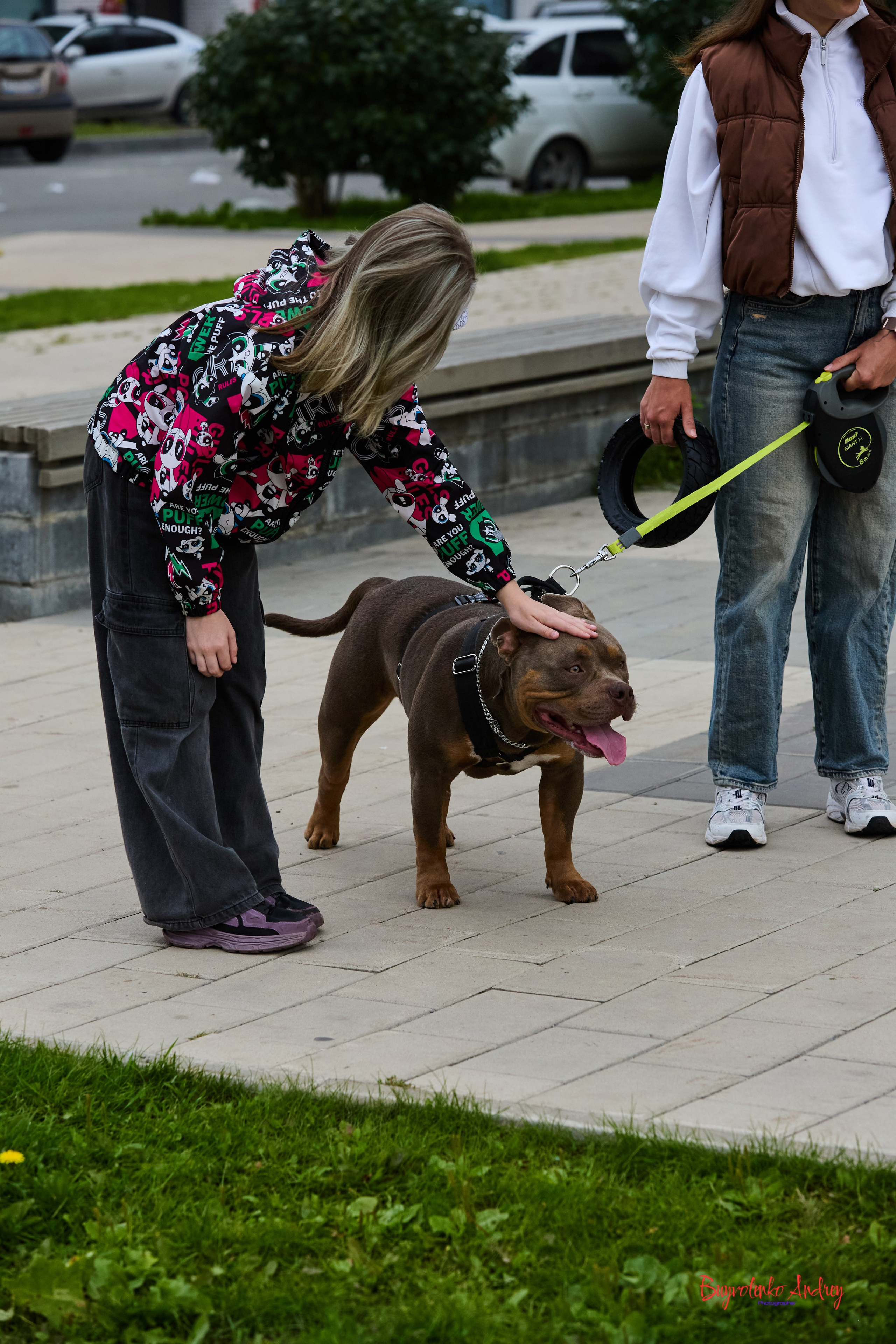 Проект фотопрогулка с хвостиком. Buyvolenko Andrey