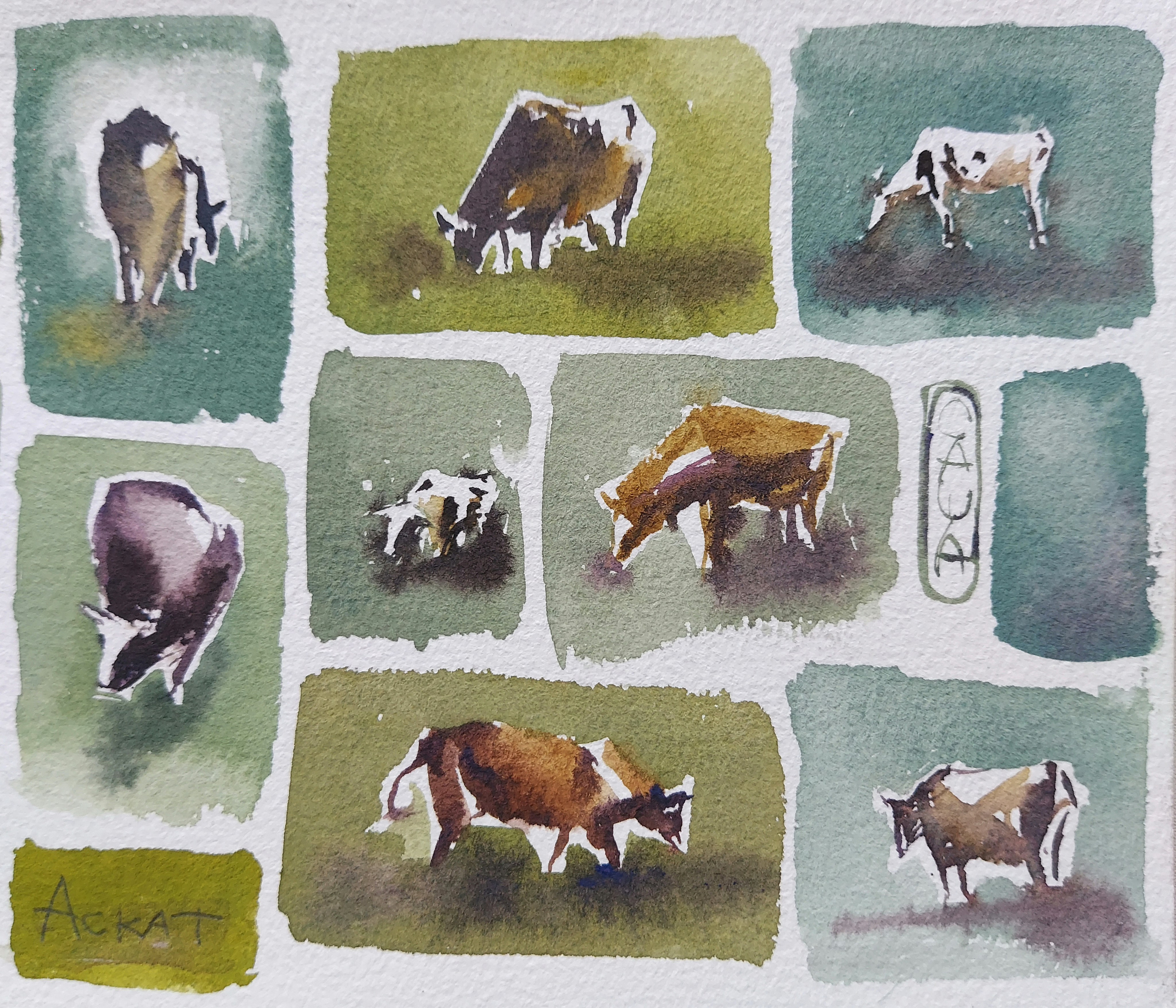 Quick sketches in Askat, Altai Mountains, Russia | August 2025 | Fragment of 11.5 x 36.5 cm (Half-A3)