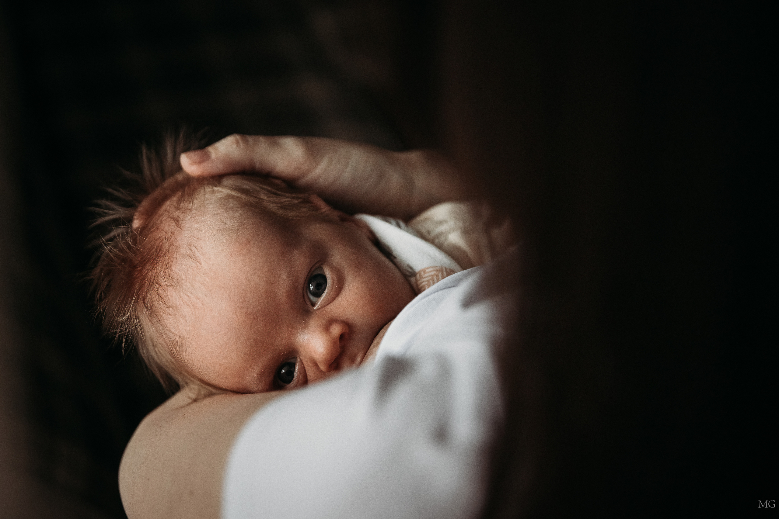 портрет малыша кормление грудью домашняя съемка