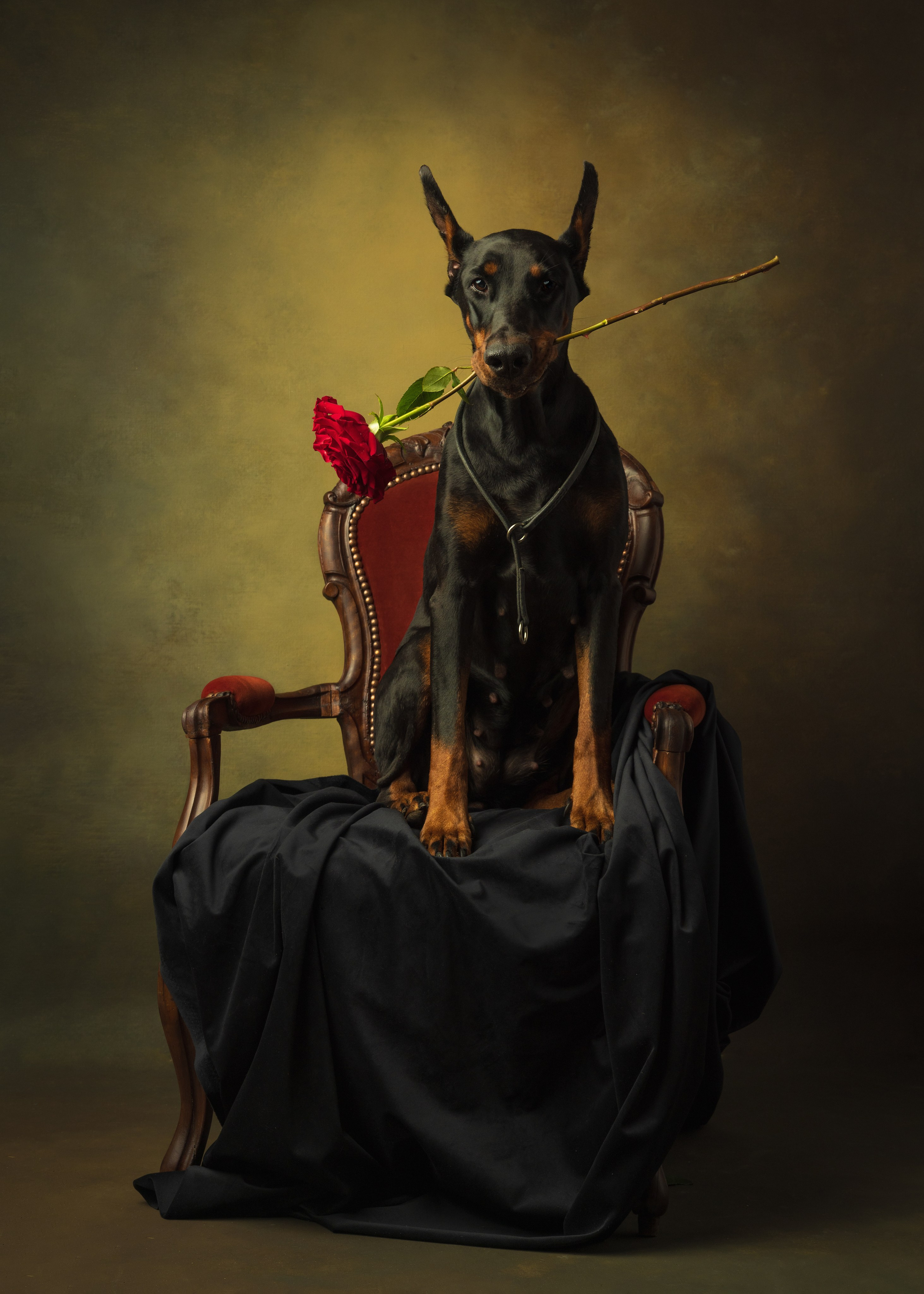 Фотонатюрморты. Савельева Ольга фотохудожник-портретист Москва