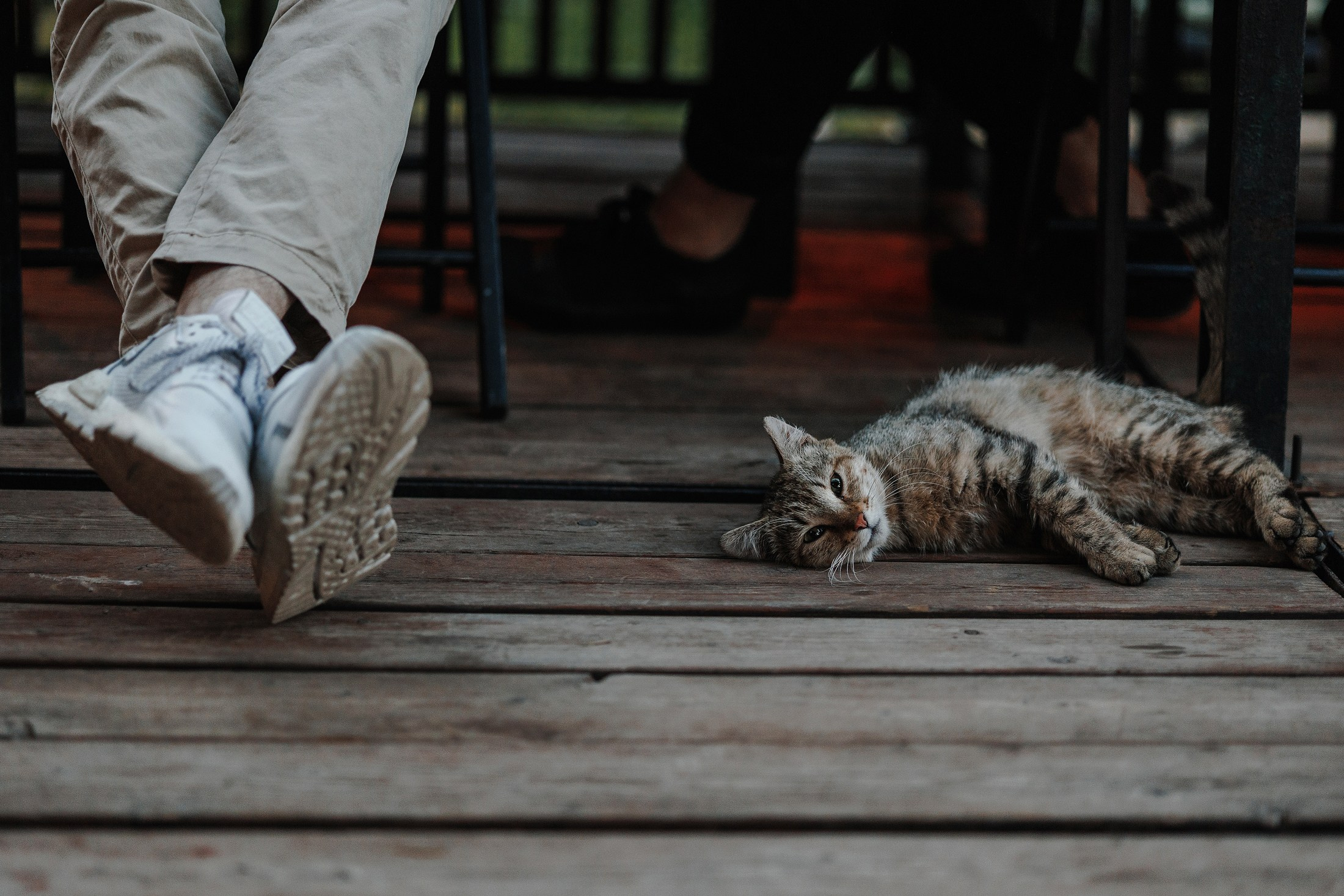 Саша и Алиса. Свадебный фотограф в Москве и МО Александр Ласковенков