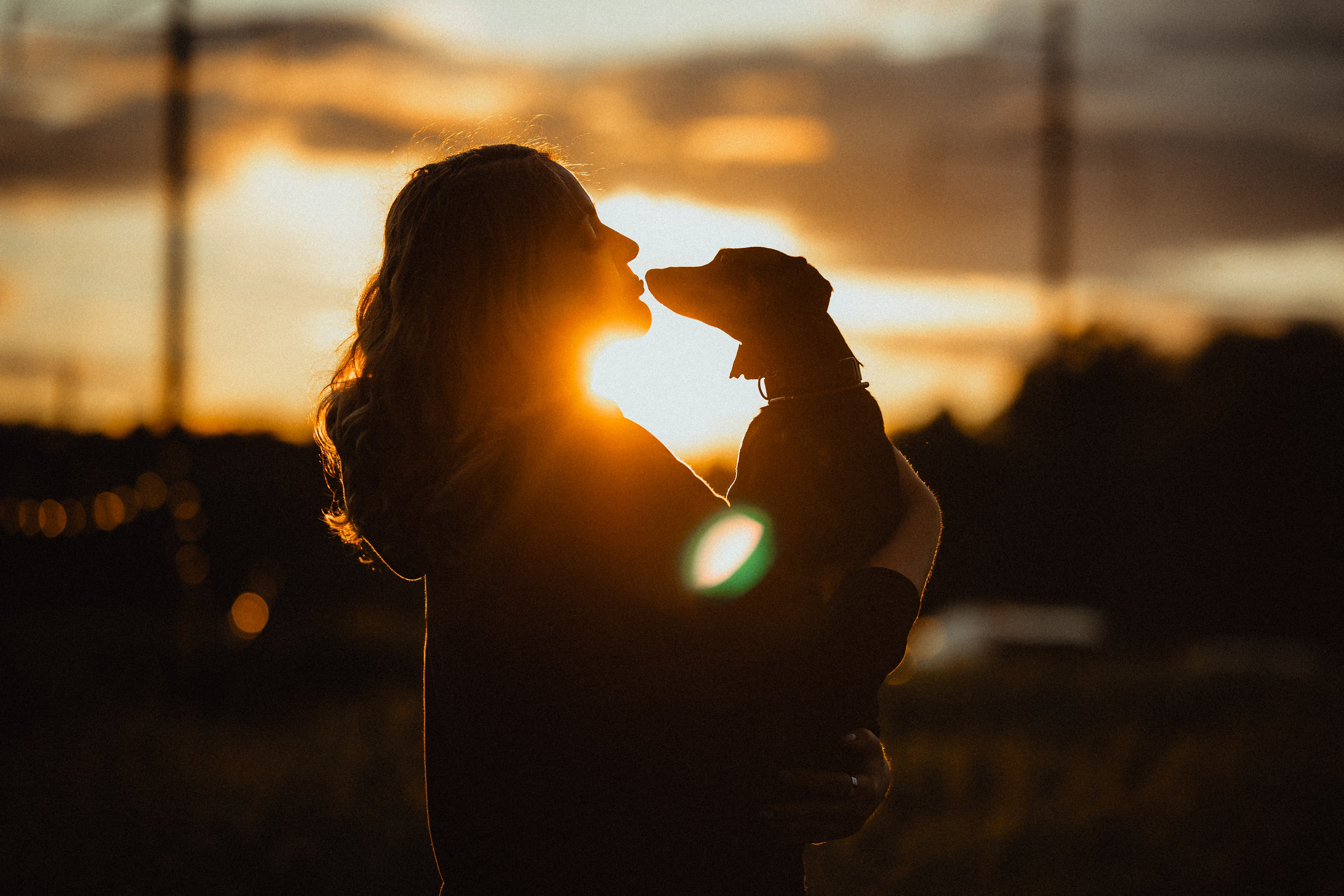 Выездной дог-тренинг от школы «Шерсть имею»