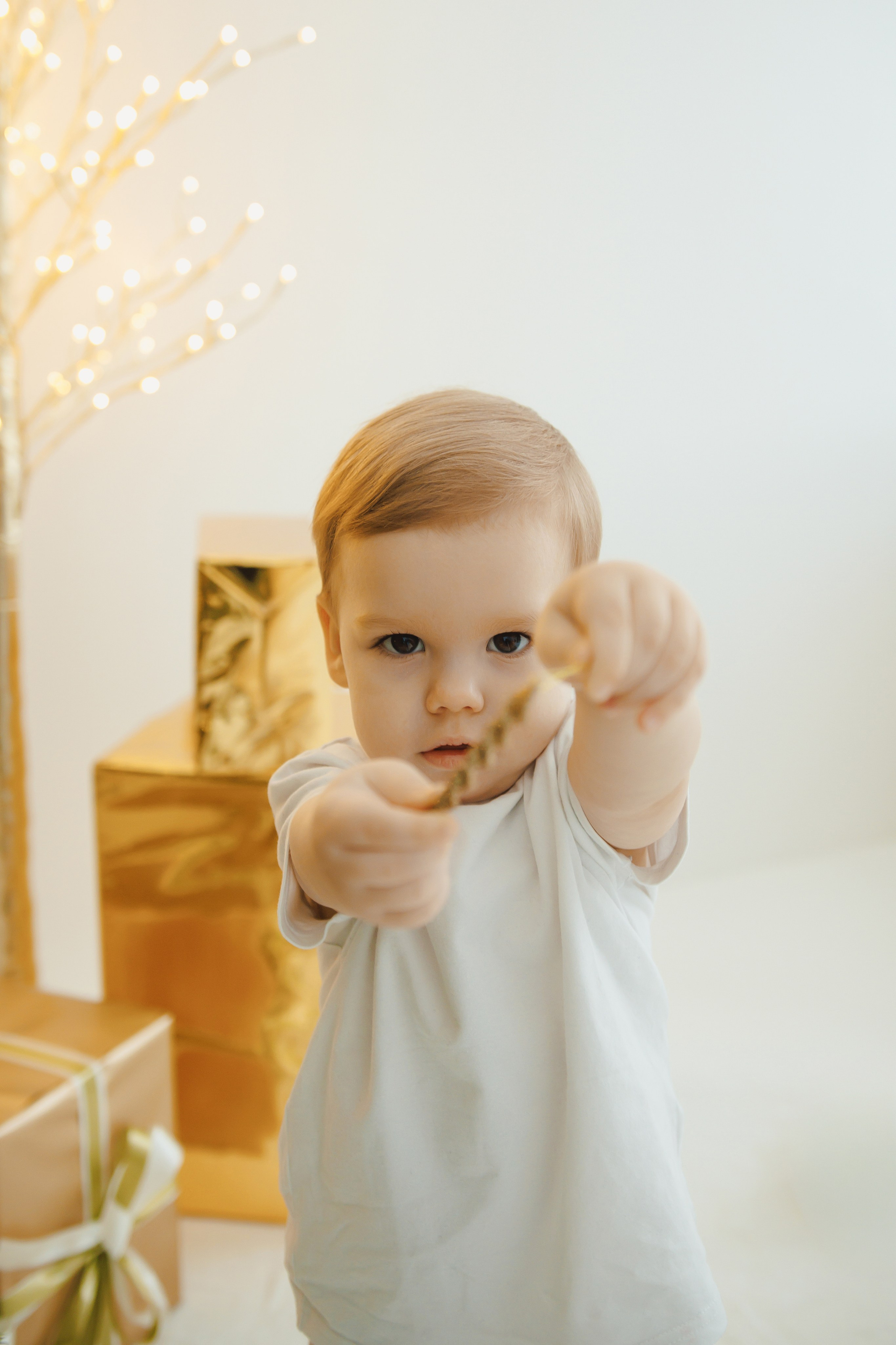 Семейная новогодняя. Диана фотограф в Краснодаре