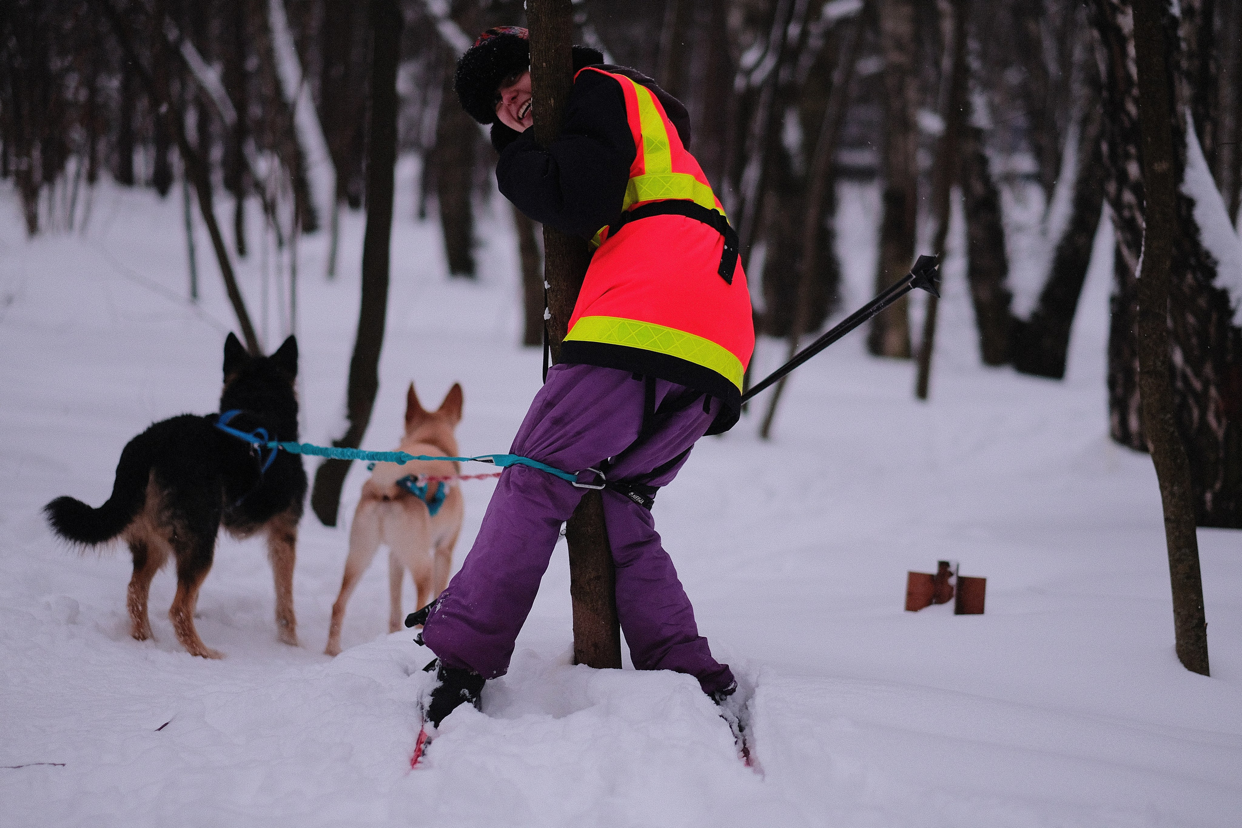 Рик, Листик и их Катя. Дмитрий Бречалов