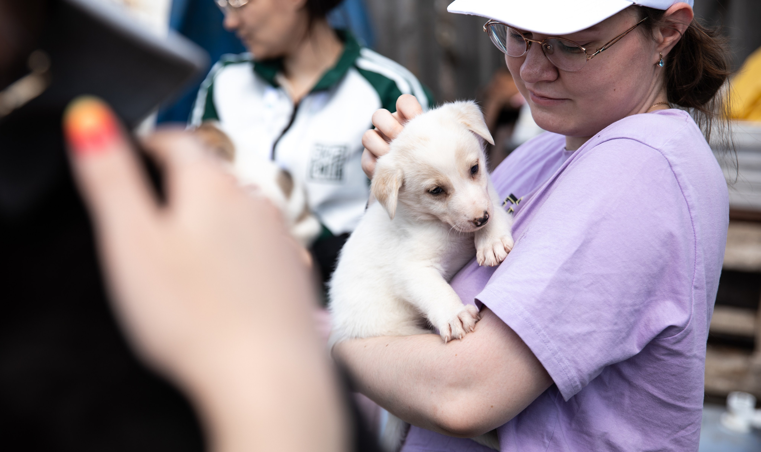 Приют — Наш дом. Репортажный и свадебный фотограф в Челябинске Елисеев Павел