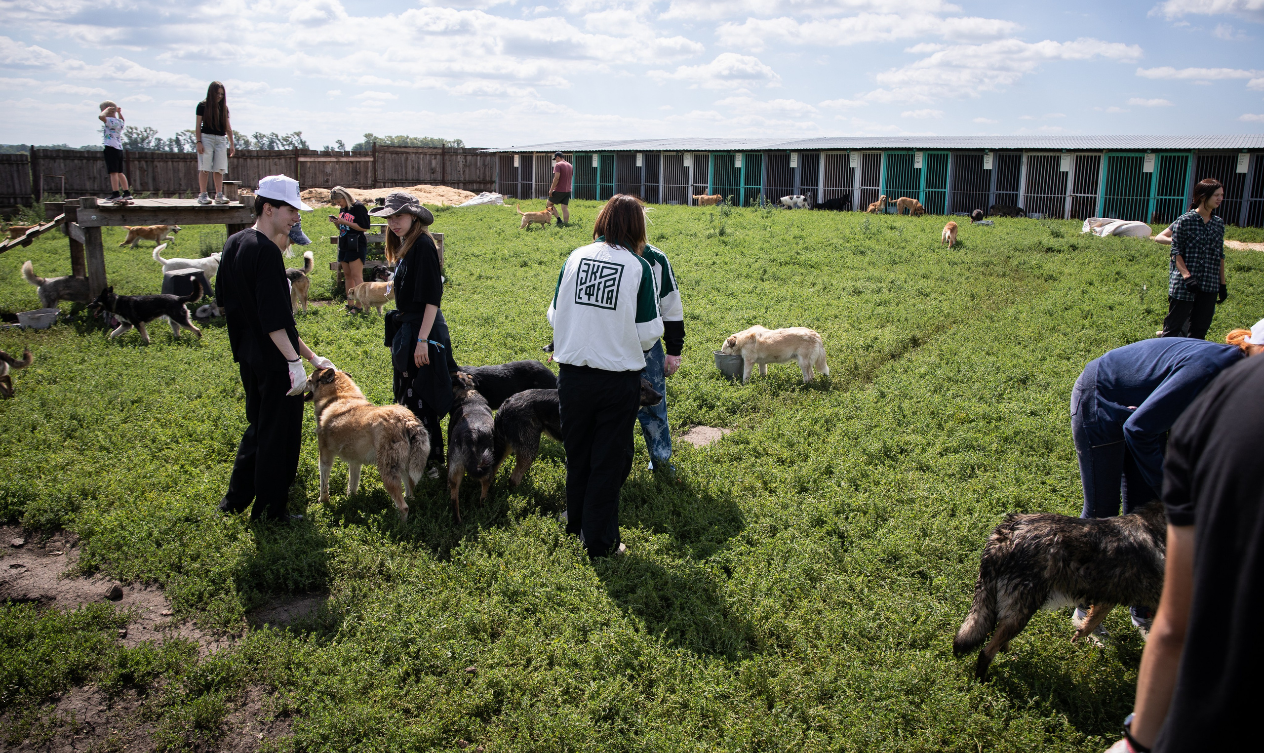 Приют — Наш дом. Репортажный и свадебный фотограф в Челябинске Елисеев Павел