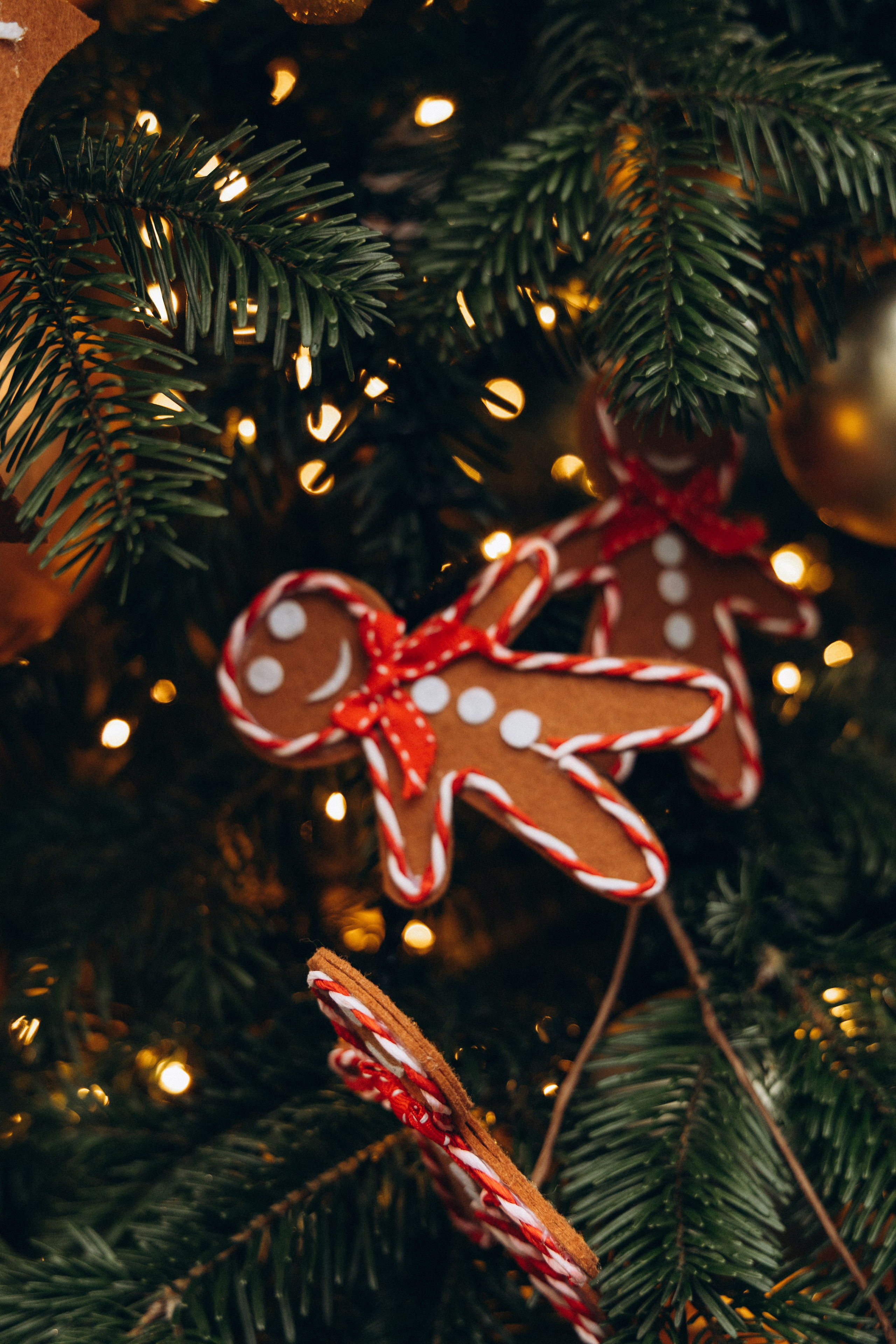 Зимняя прогулка Юлии. Фотограф lifestylе в Москве Пшеничная Анастасия