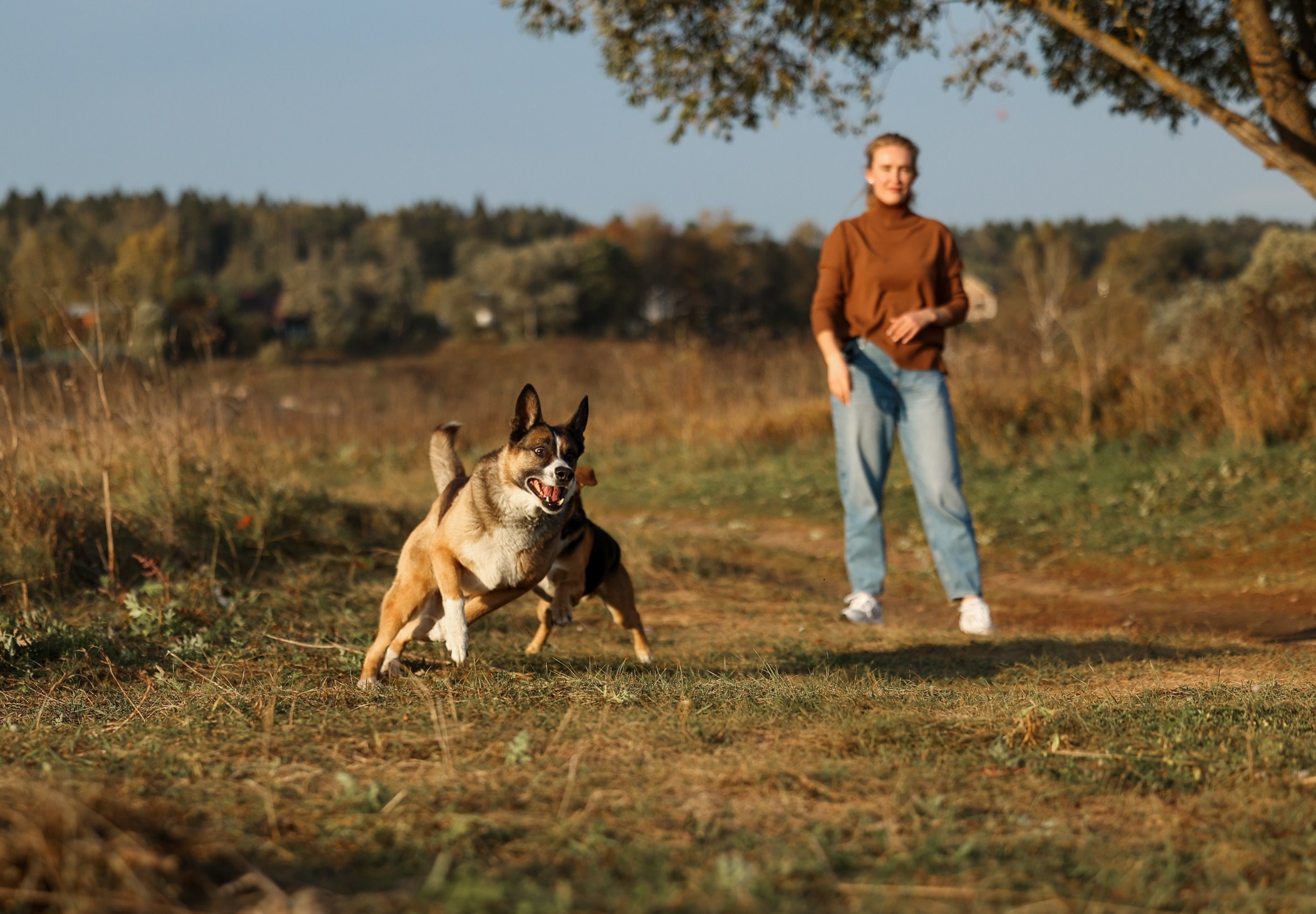 Прогулка на природе. Фотограф-анималист Полина Колкова | Москва