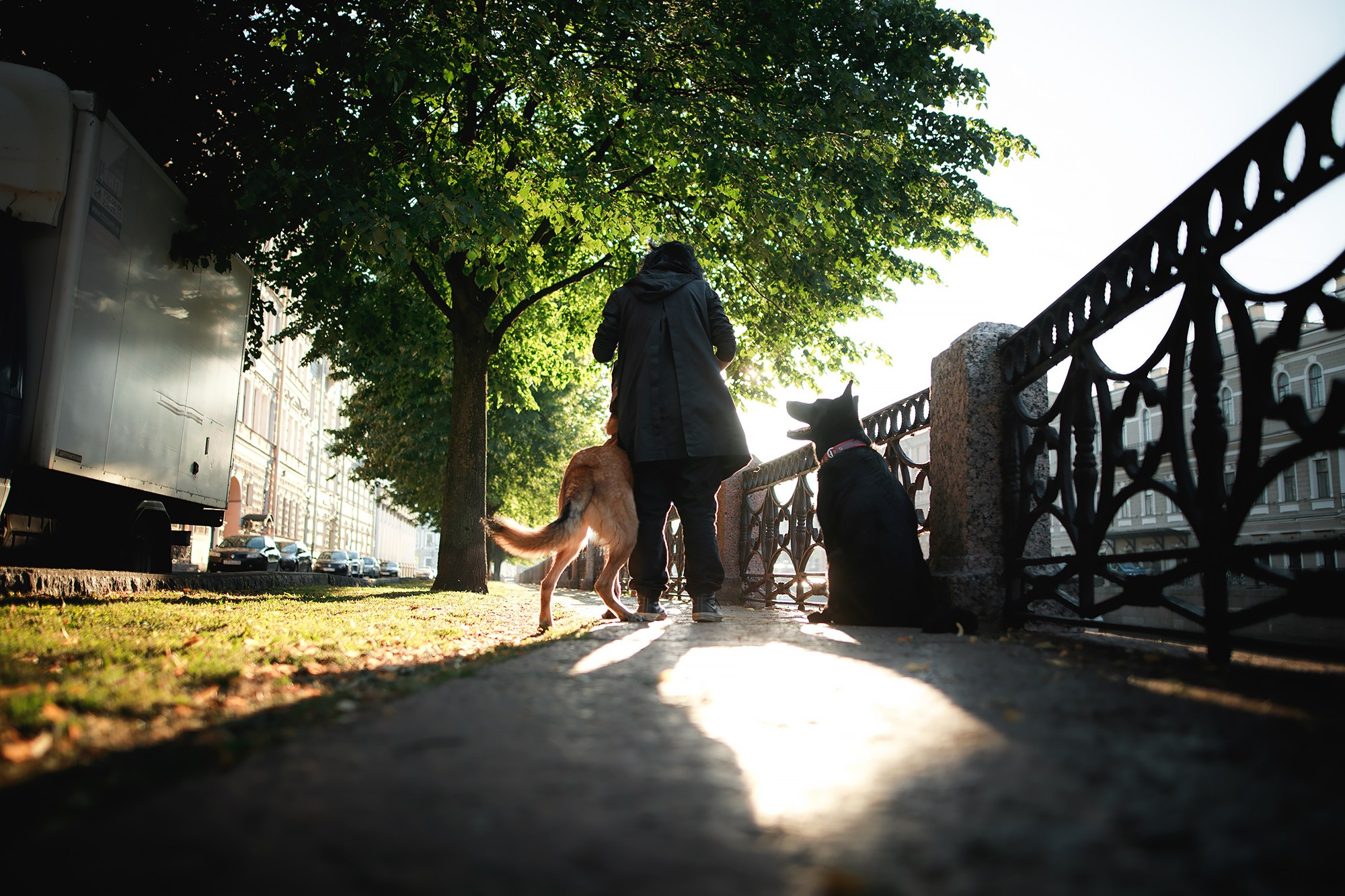 Алена, Кай и Мара. Фотограф-анималист Mary Mart — Москва, Питер