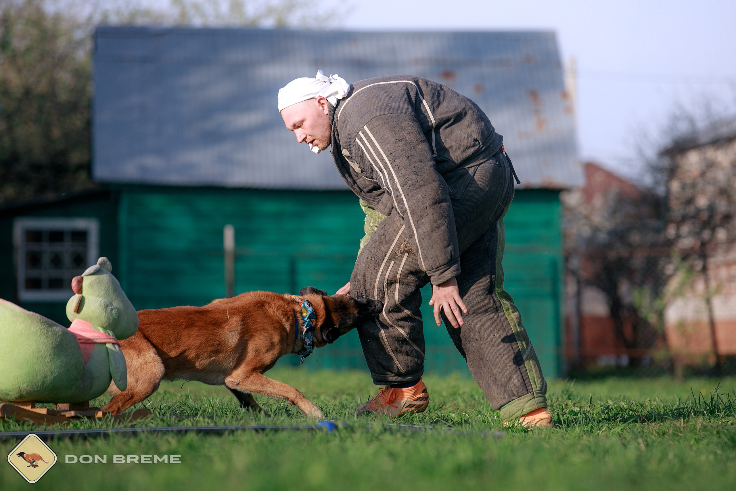 Семинар для фигурантов, день 4. Фотограф-анималист Mary Mart — Москва, Питер