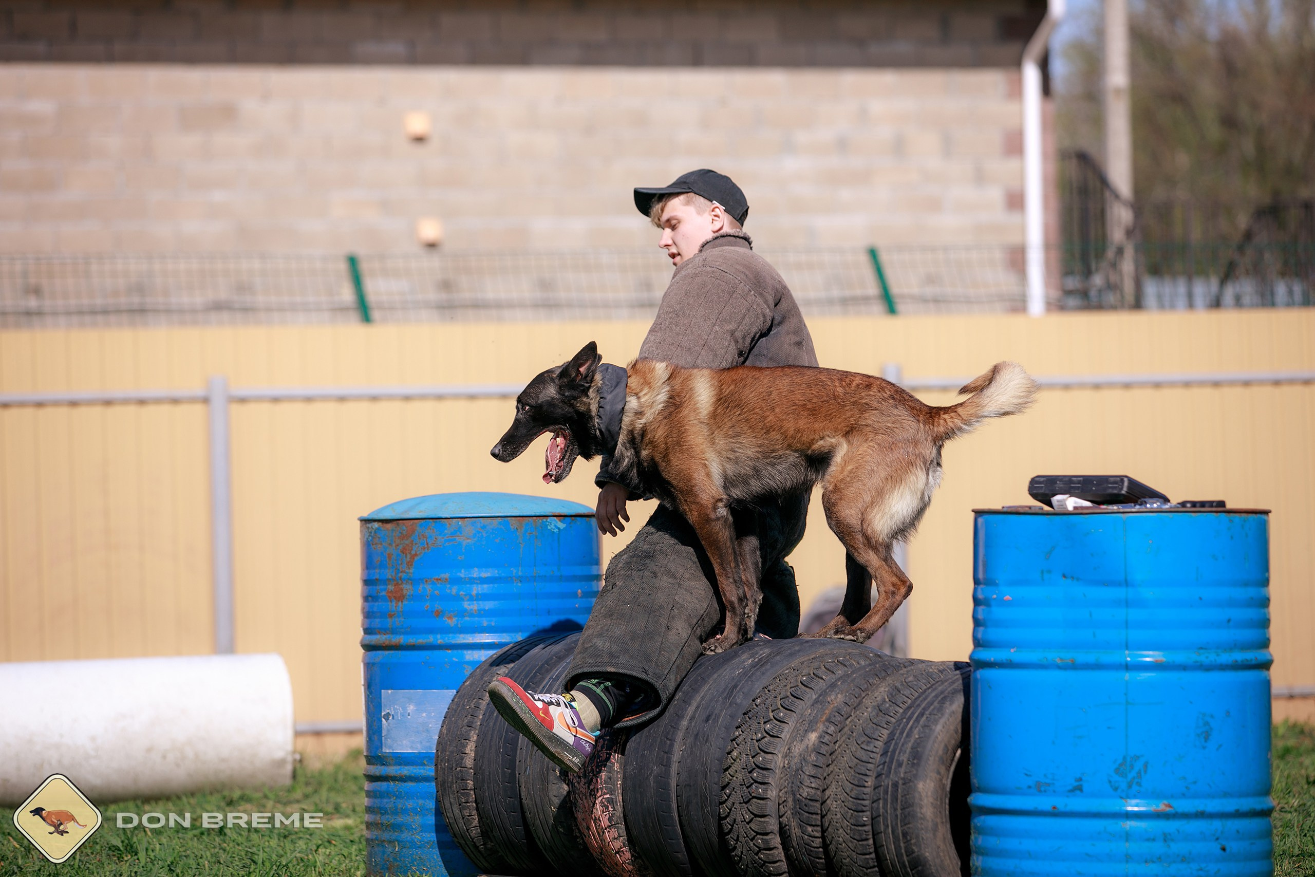 Семинар для фигурантов, день 4. Фотограф-анималист Mary Mart — Москва, Питер