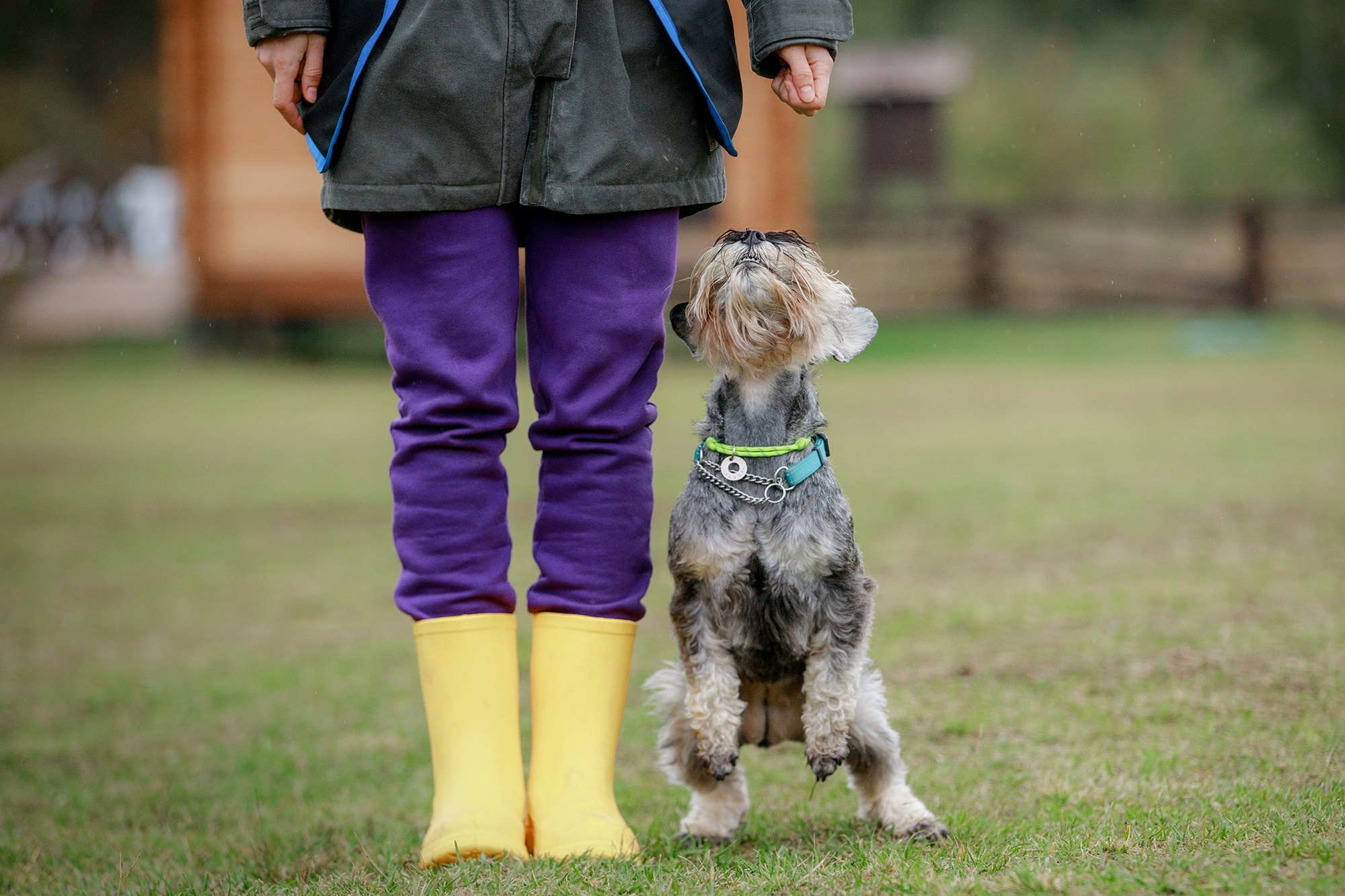 Лагерь по ОБД с Инной Баженовой. Фотограф-анималист Mary Mart — Москва, Питер