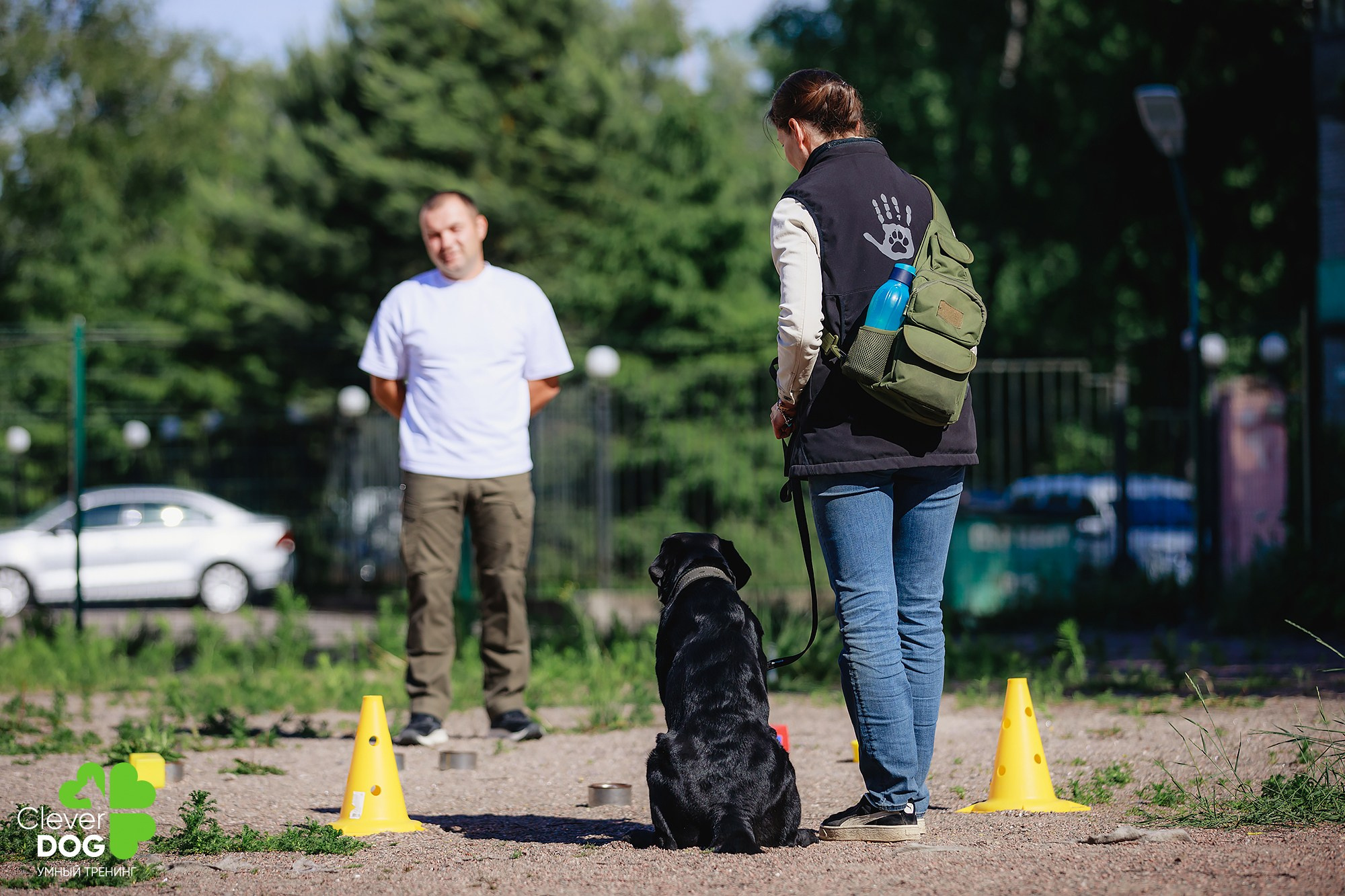 Семинар по поиску запаха с Иваном Ломовым, организатор CleverDog, СПб. Фотограф-анималист Mary Mart — Москва, Питер