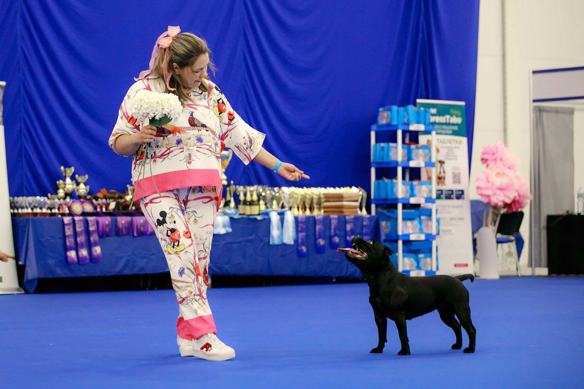 Танцы на выставке «Зоошоу», СПб. Фотограф-анималист Mary Mart — Москва, Питер