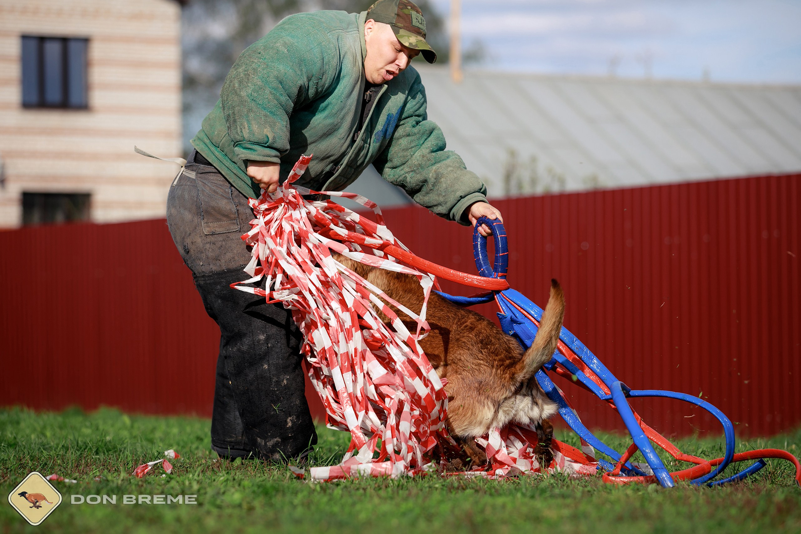 Семинар для фигурантов, день 2. Фотограф-анималист Mary Mart — Москва, Питер