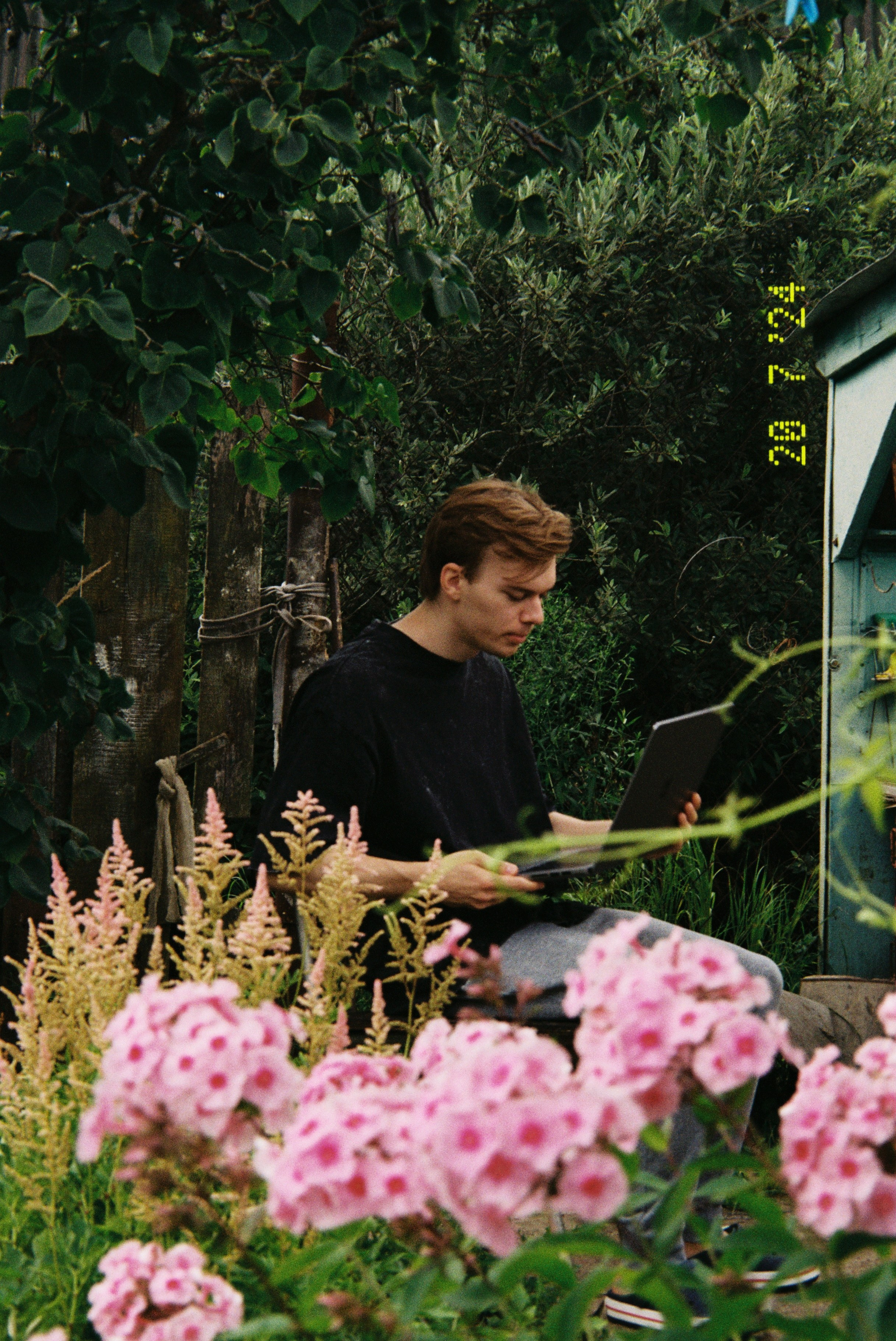 Пленка. Фотограф Алина Диева Москва | Токио