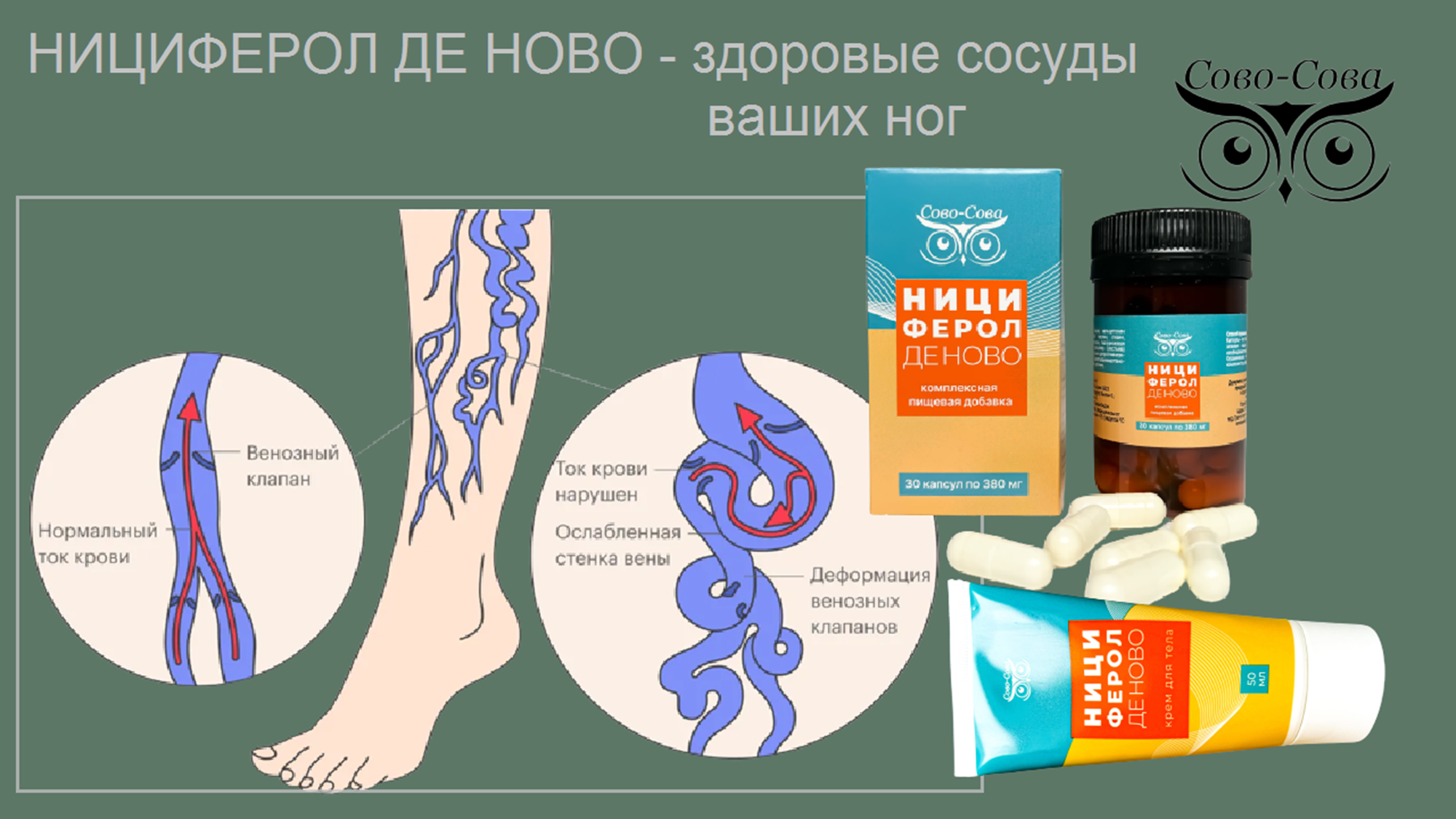 КПД компании Сово-Сова. Сово-Сово — Омоложение и оздоровление!