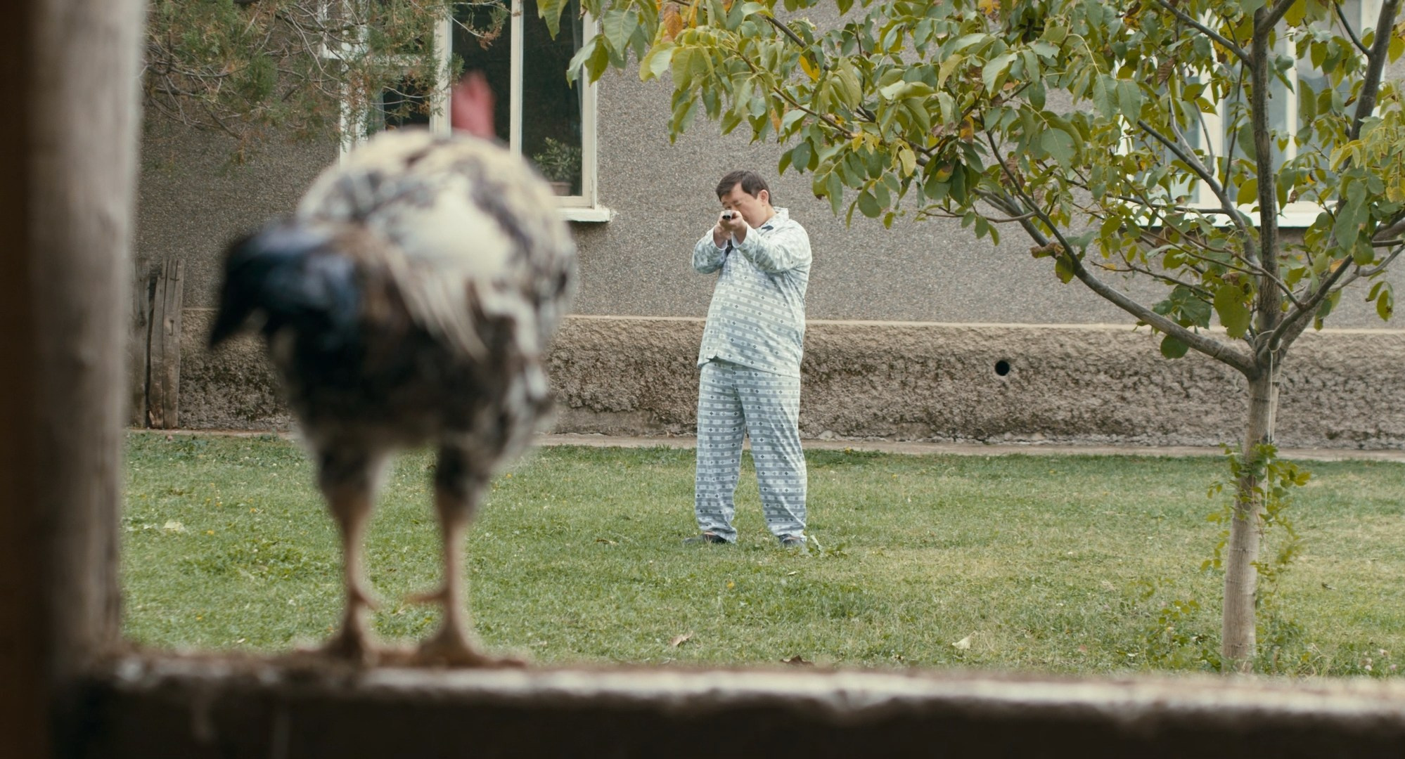 Цветокоррекция комедии «Орех». Цветокоррекция и мастеринг видео в Санкт-Петербурге — Антон Евтягин