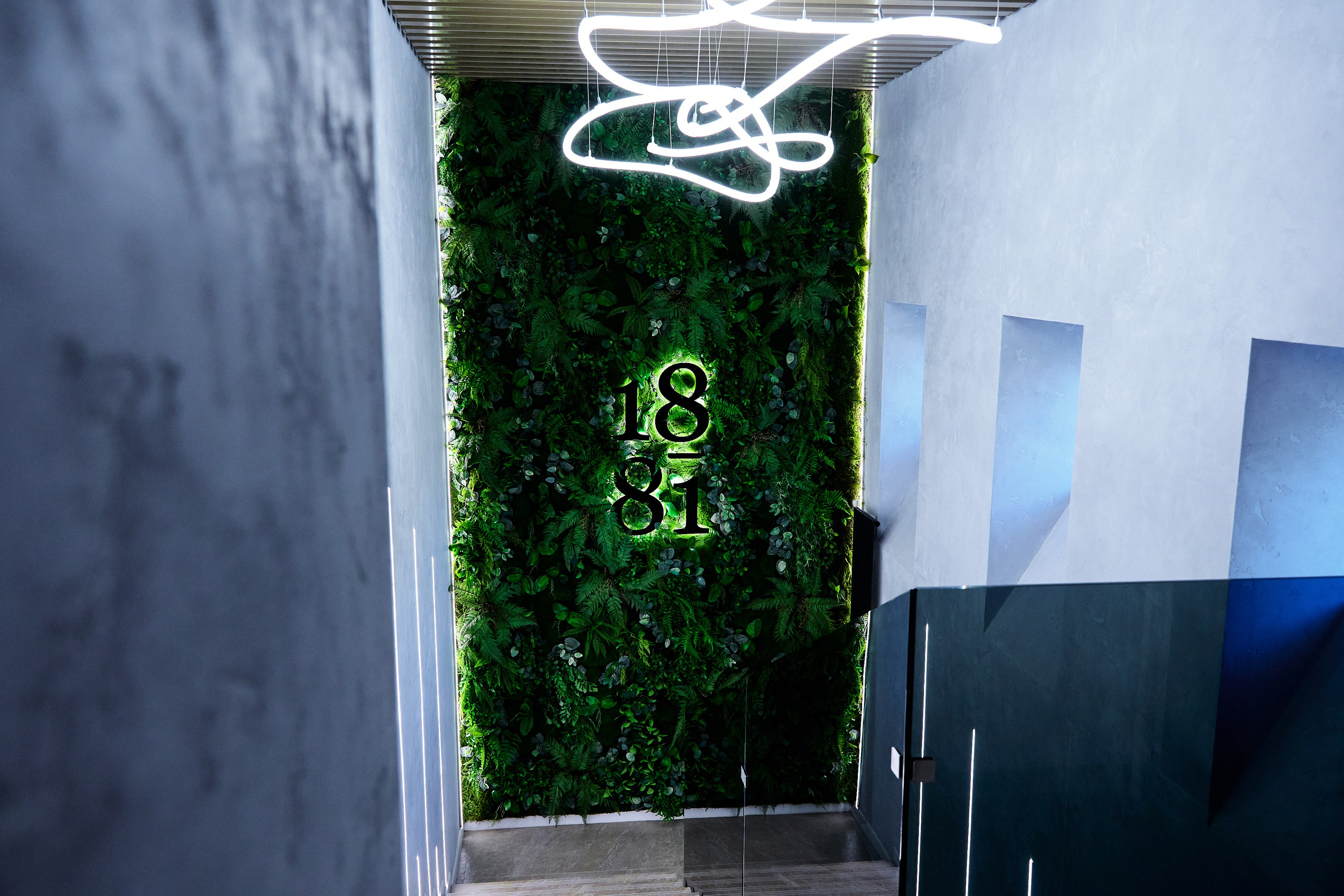 Интерьерная съемка 1881. Фотограф в Хабаровске