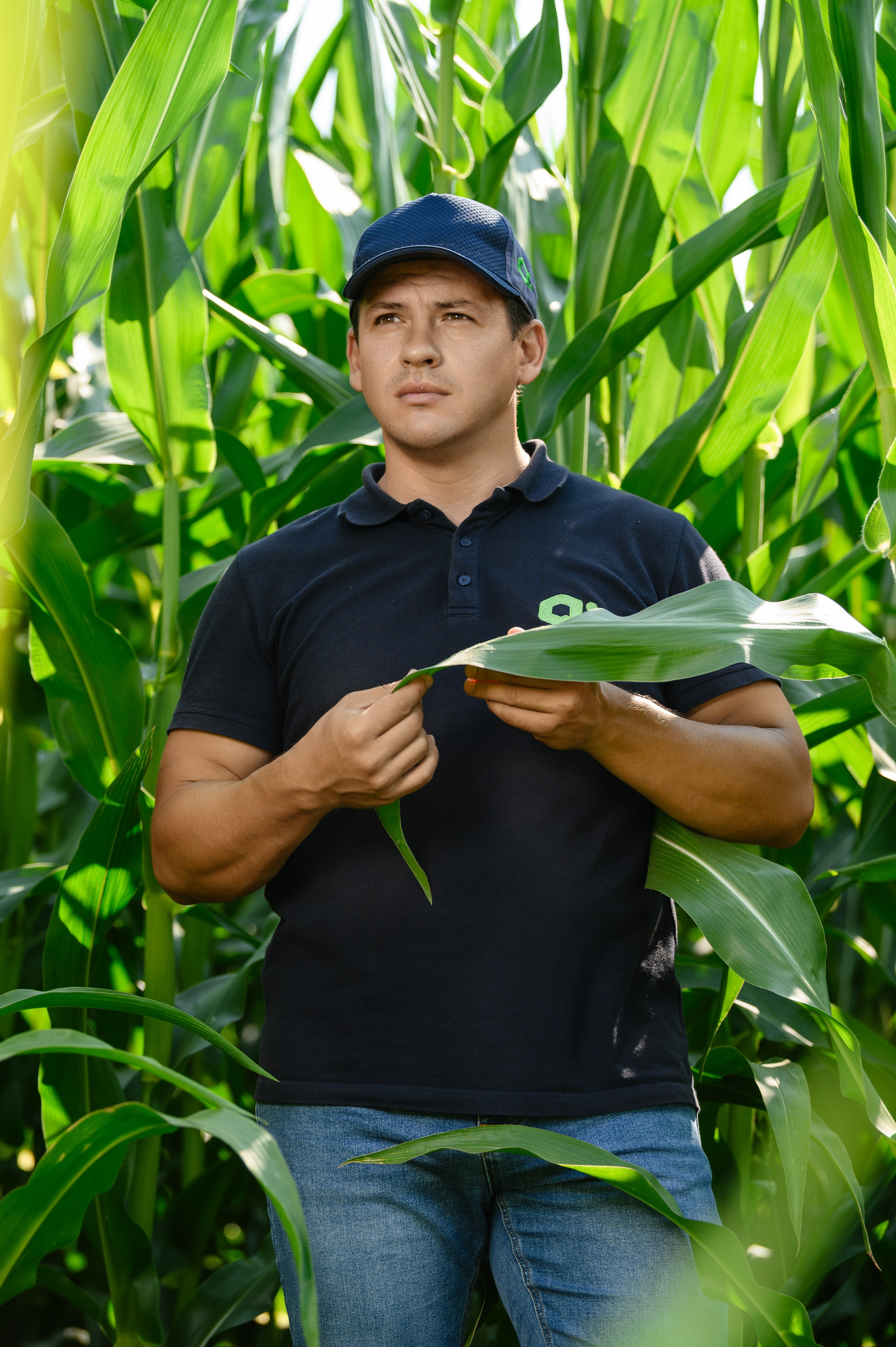 Проекты. Профессиональный фотограф Вячеслав Плацында | Липецк |