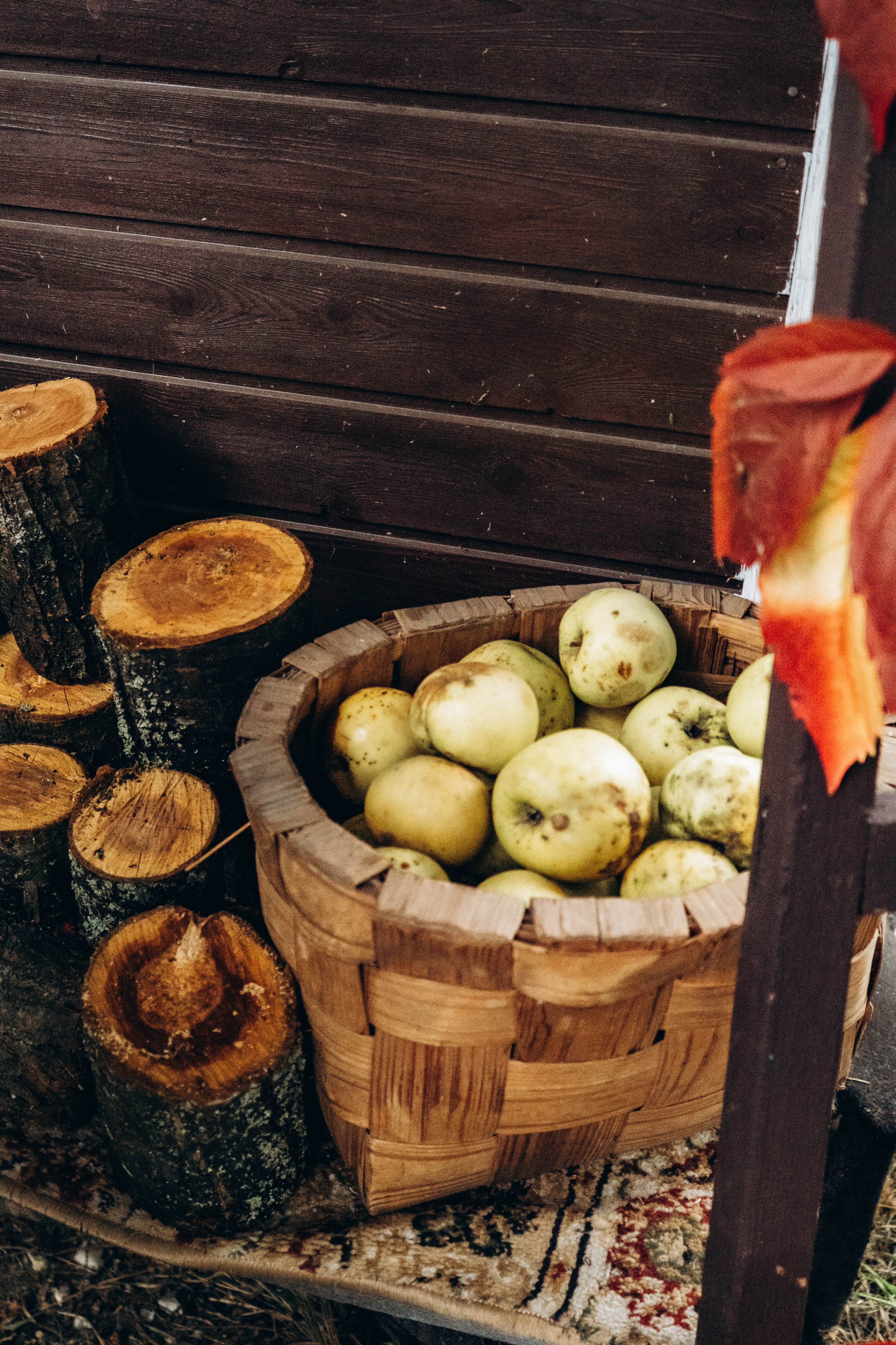 Съемка студии «Аж уютно». Фотограф Москва Валерия Веденина